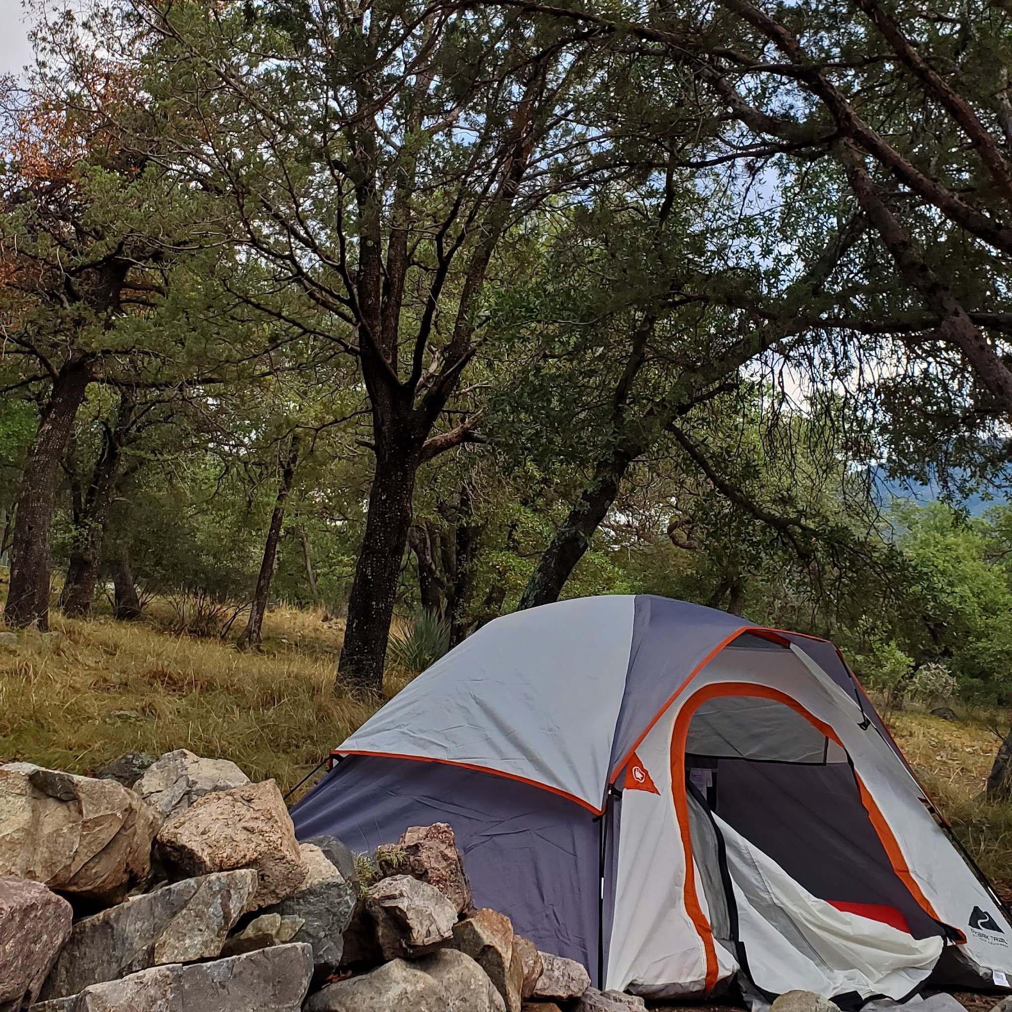 Bog Springs Campground