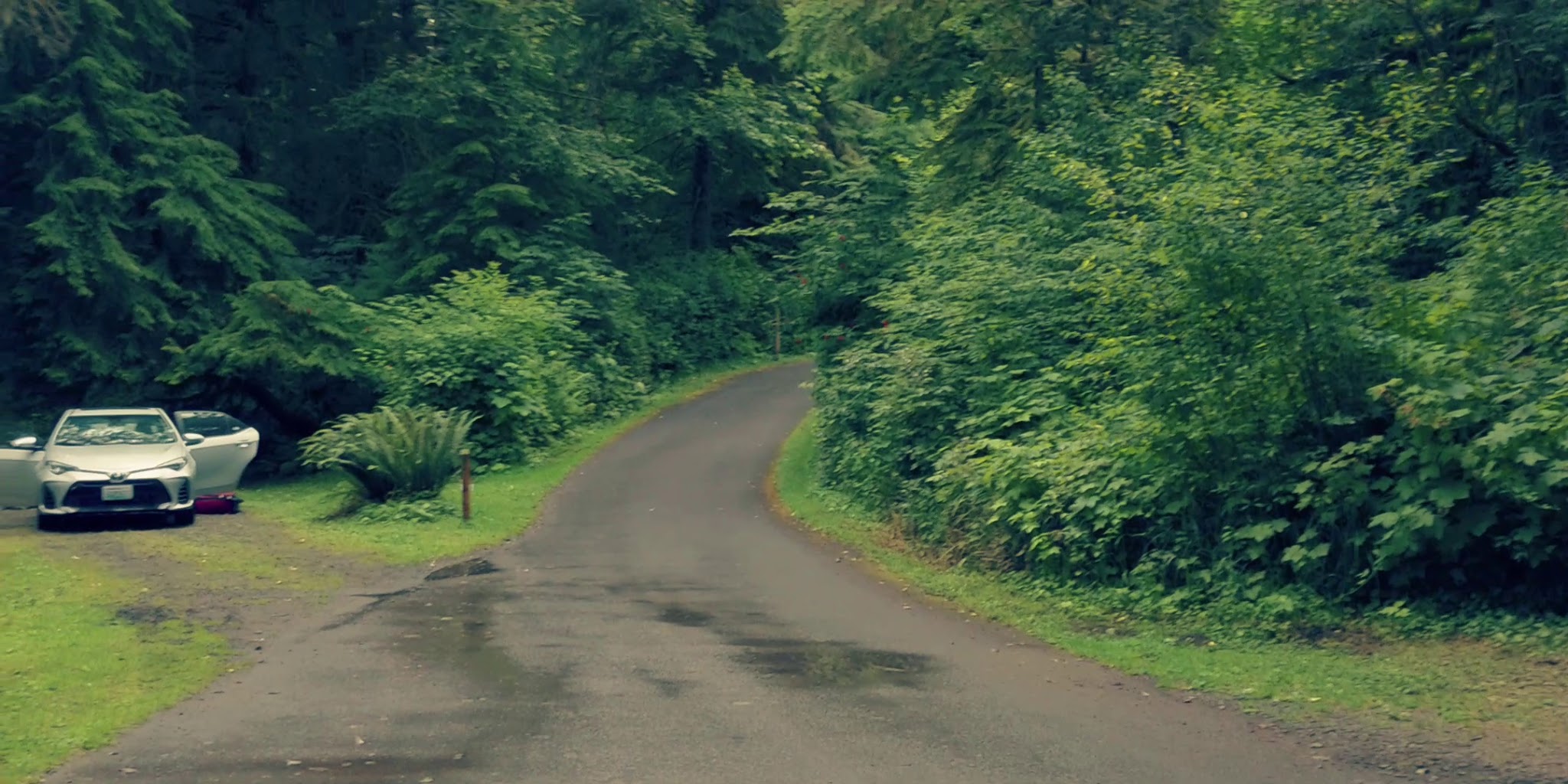 Bogachiel State Park