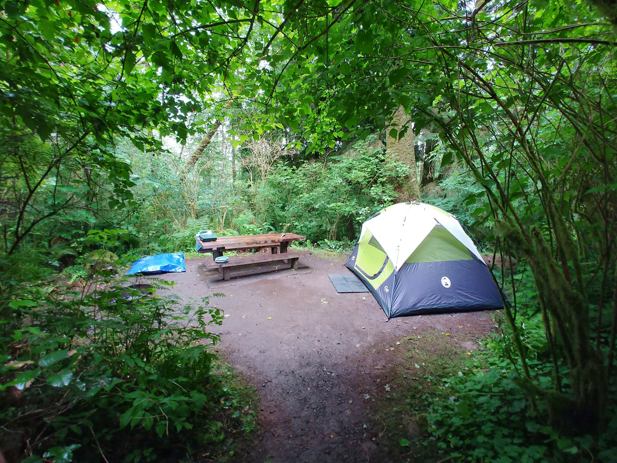 Bogachiel State Park