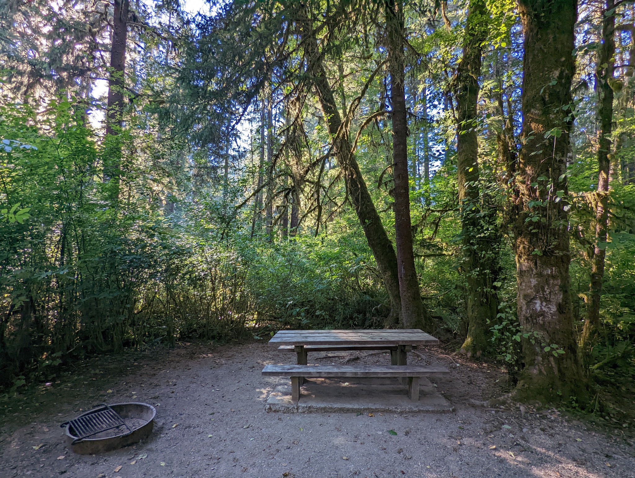 Bogachiel State Park