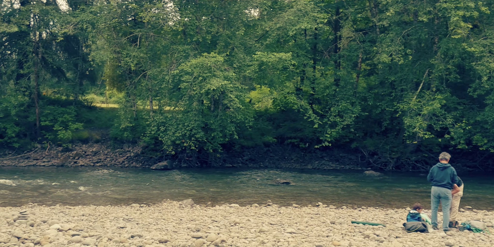 Bogachiel State Park