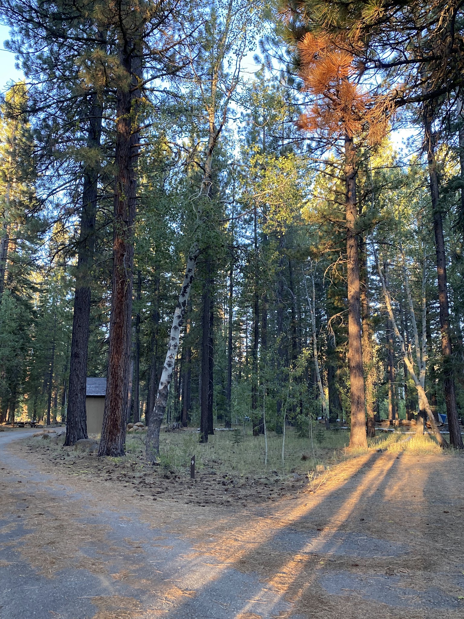 Bogard Campground