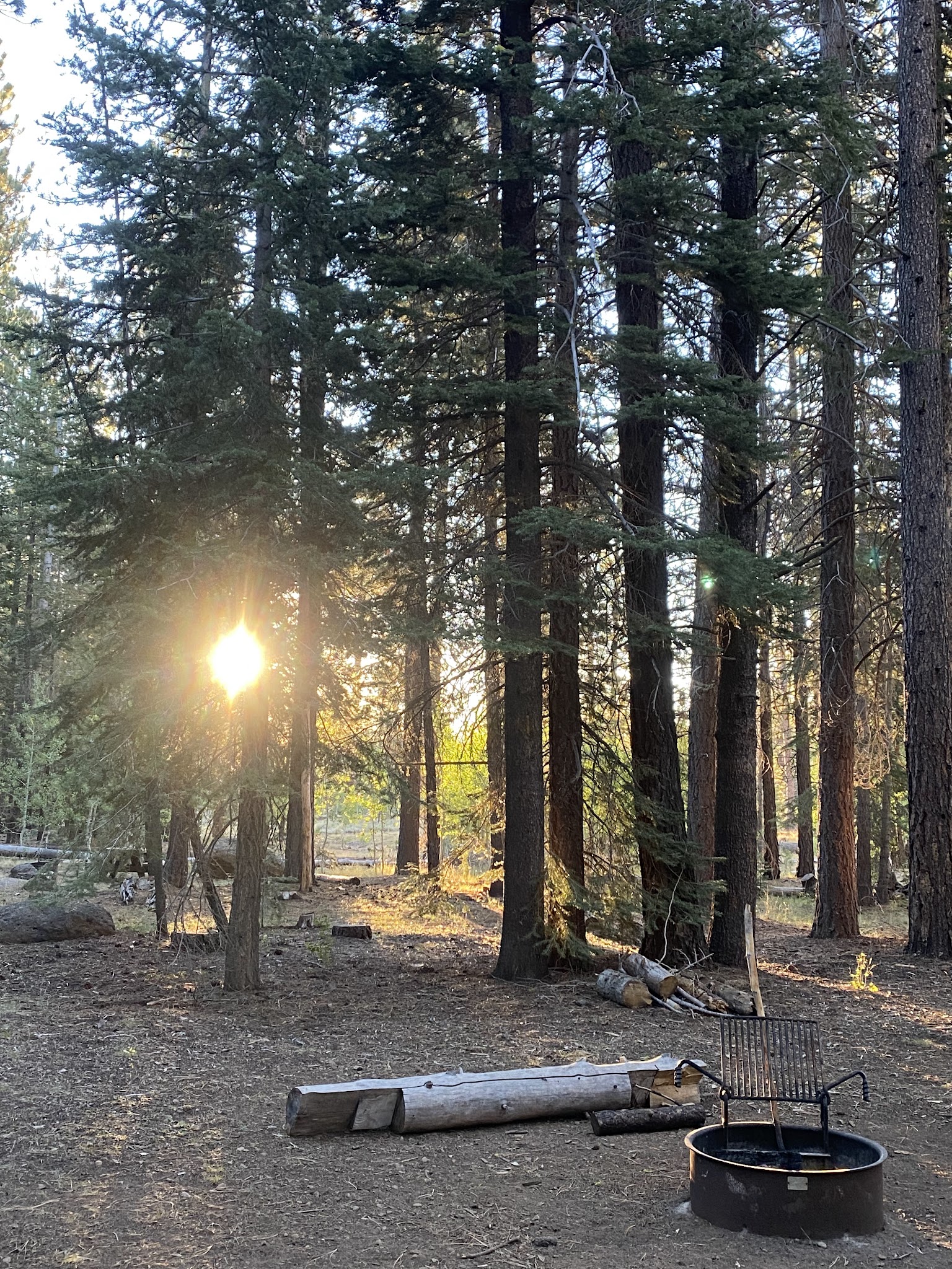 Bogard Campground