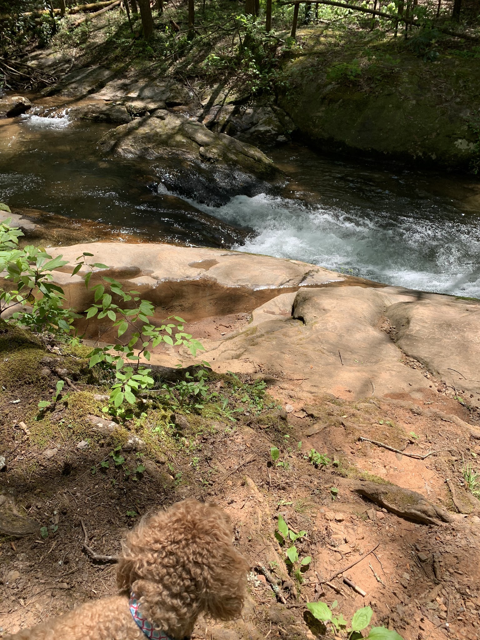 Boggs Creek Recreation Area