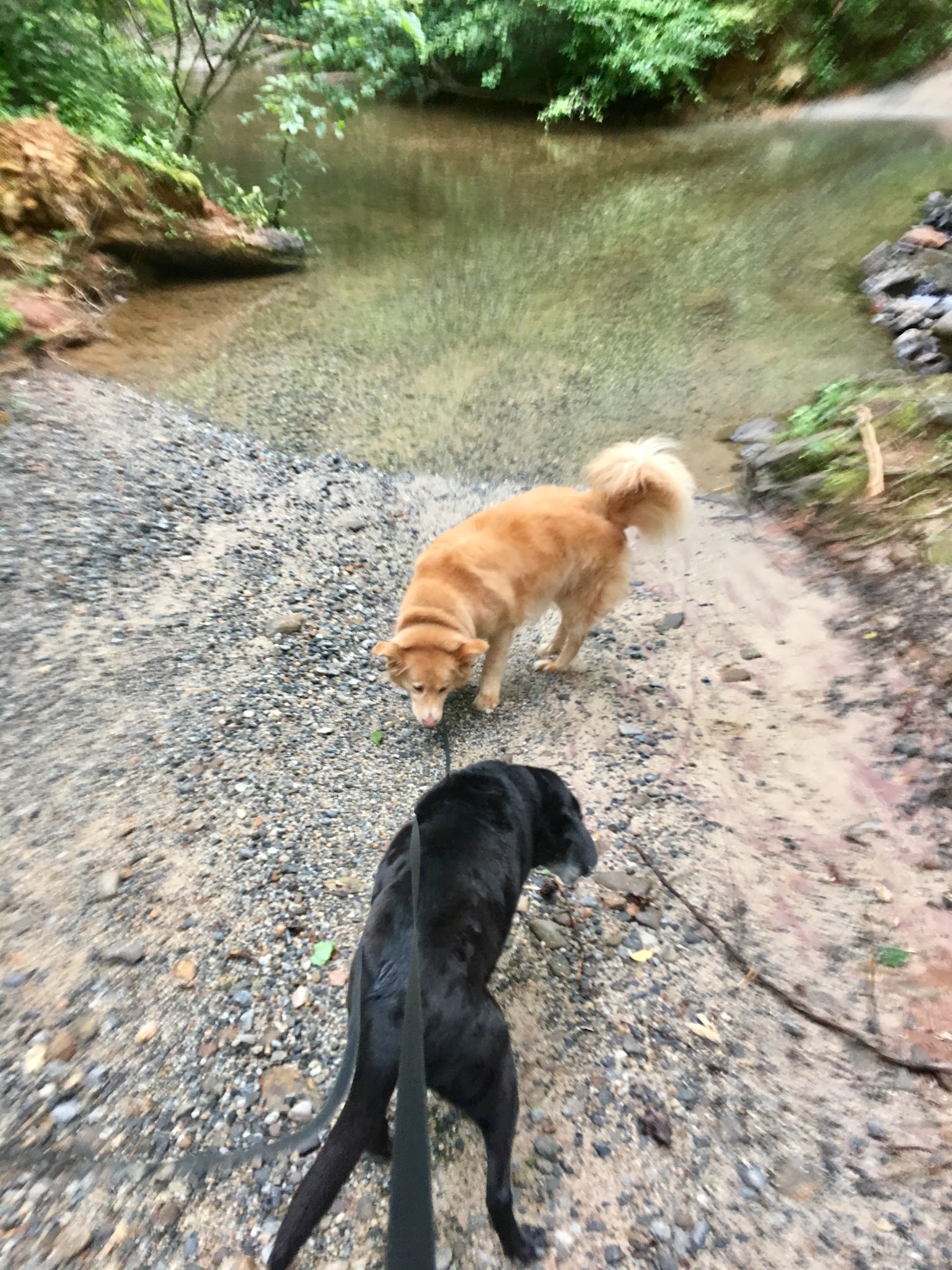 Boggs Creek Recreation Area