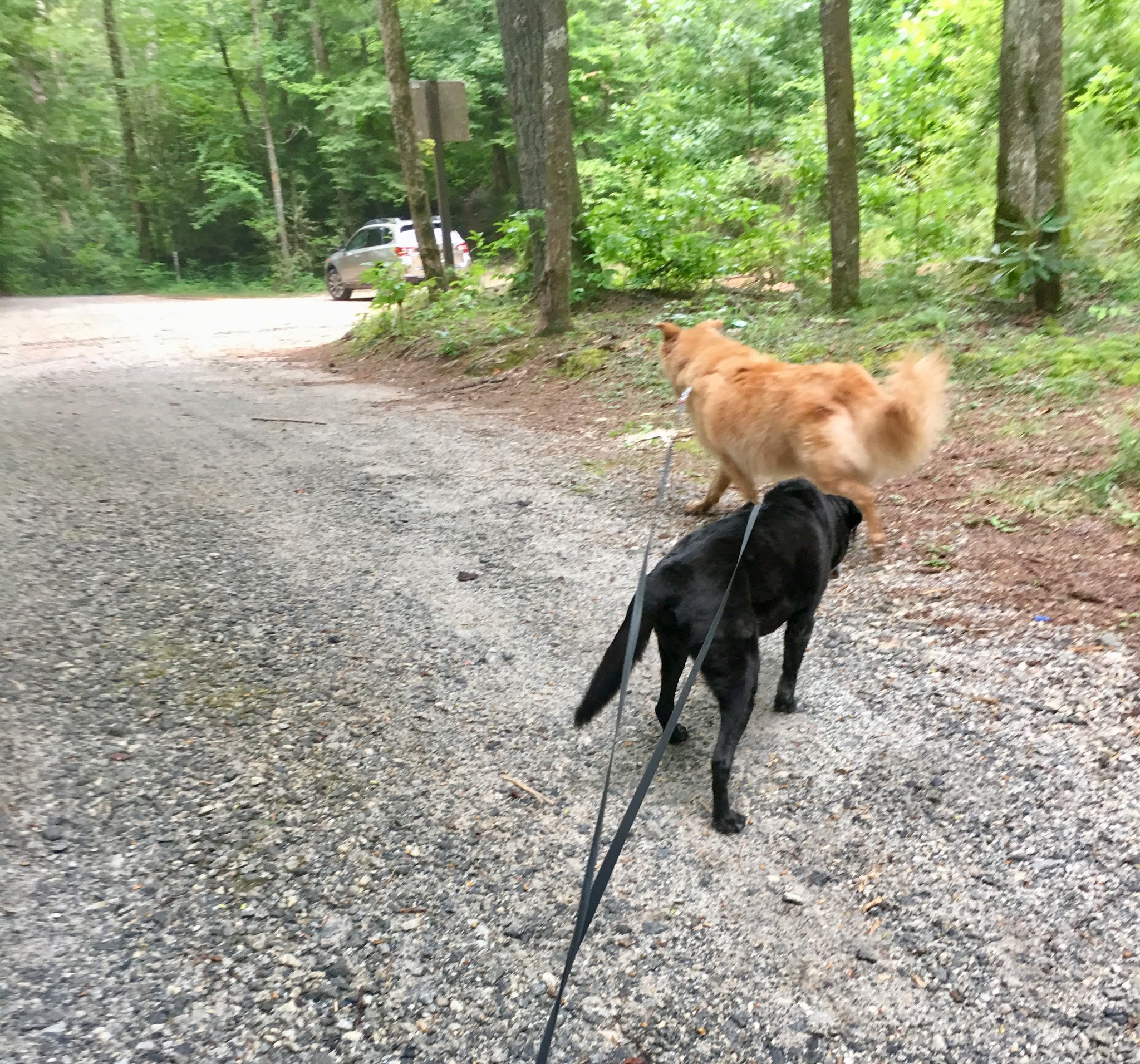 Boggs Creek Recreation Area