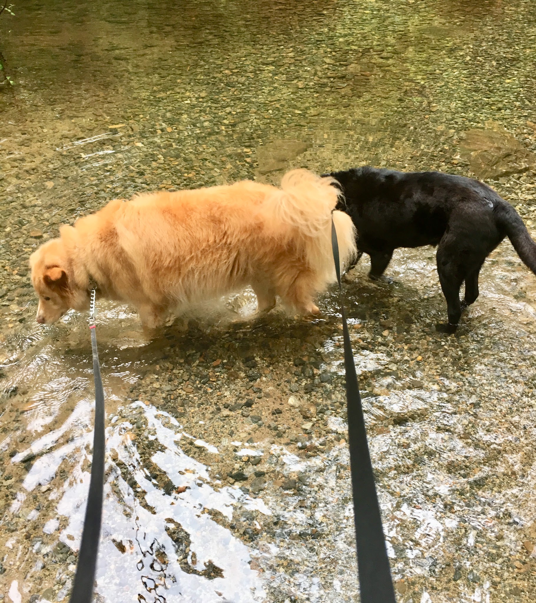 Boggs Creek Recreation Area