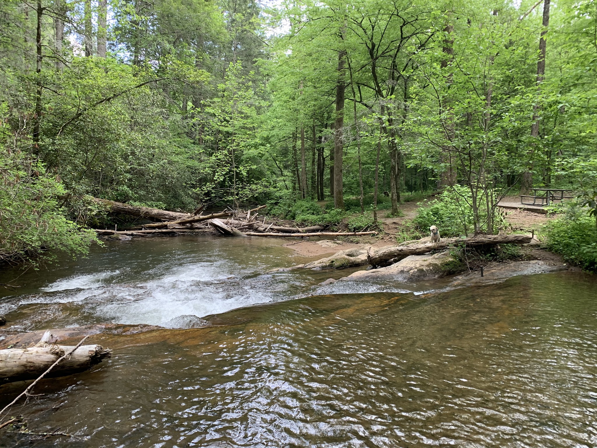 Boggs Creek Recreation Area
