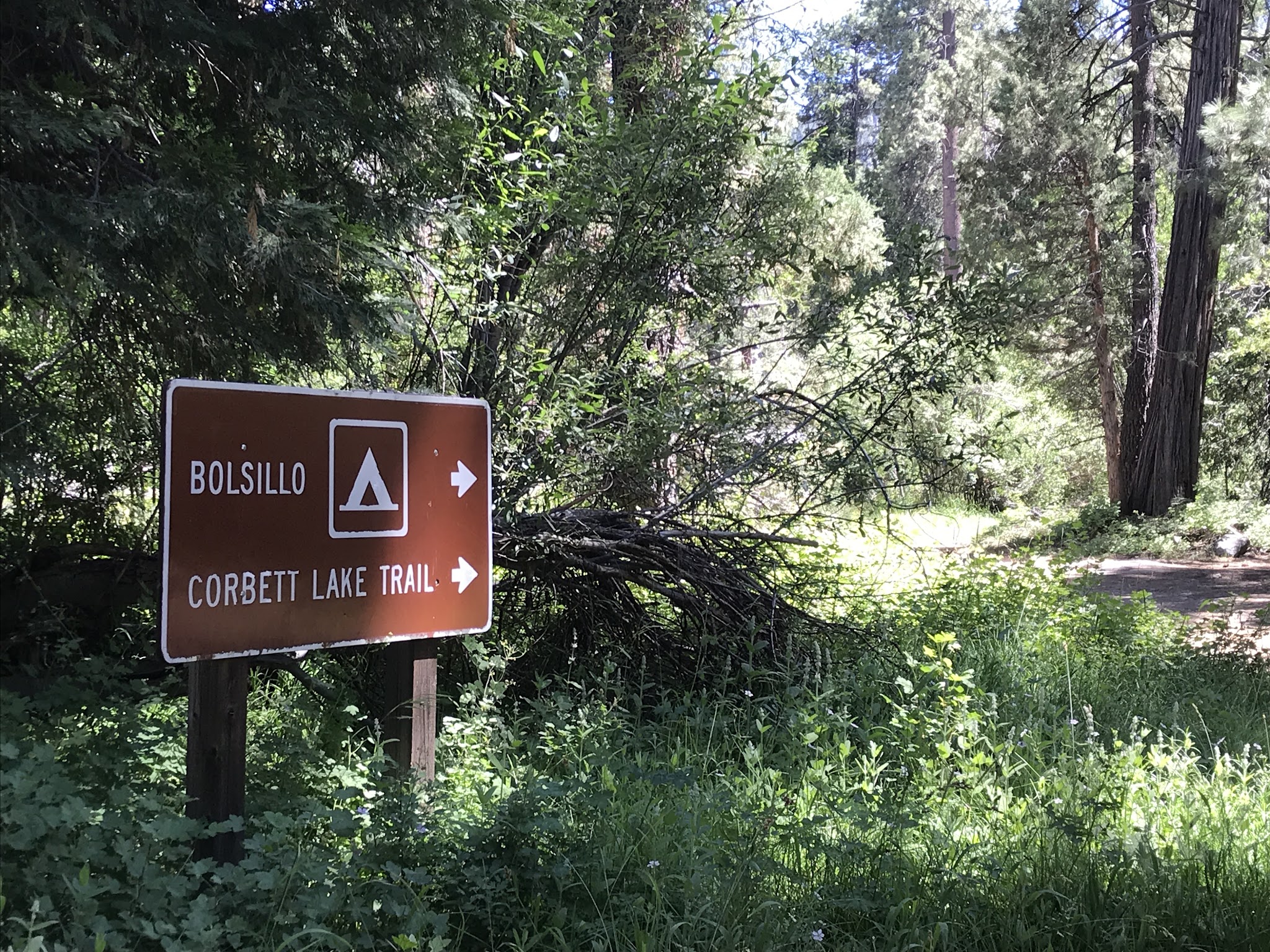 Bolsillo Campground
