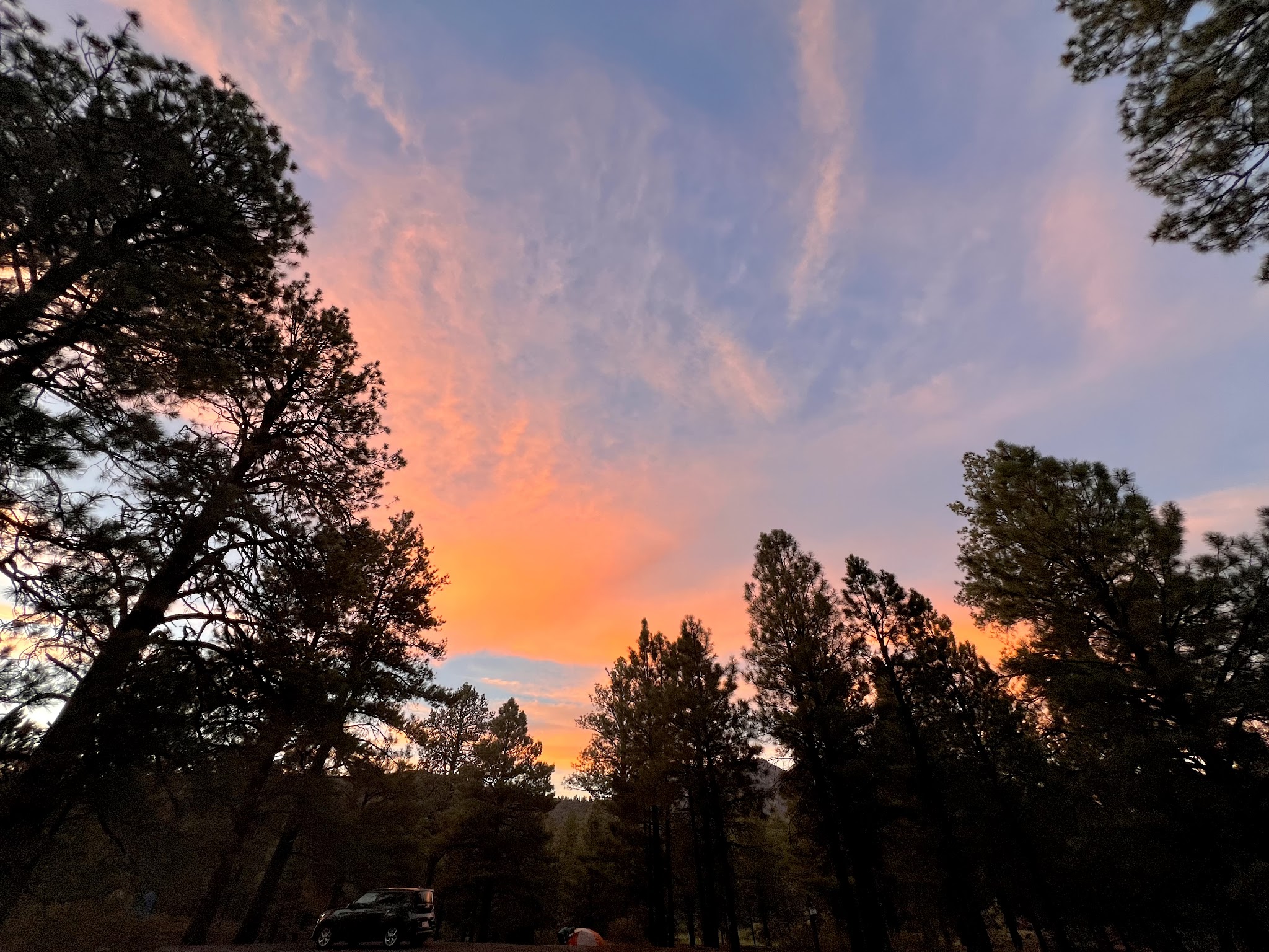 Bonito Campground (Az)