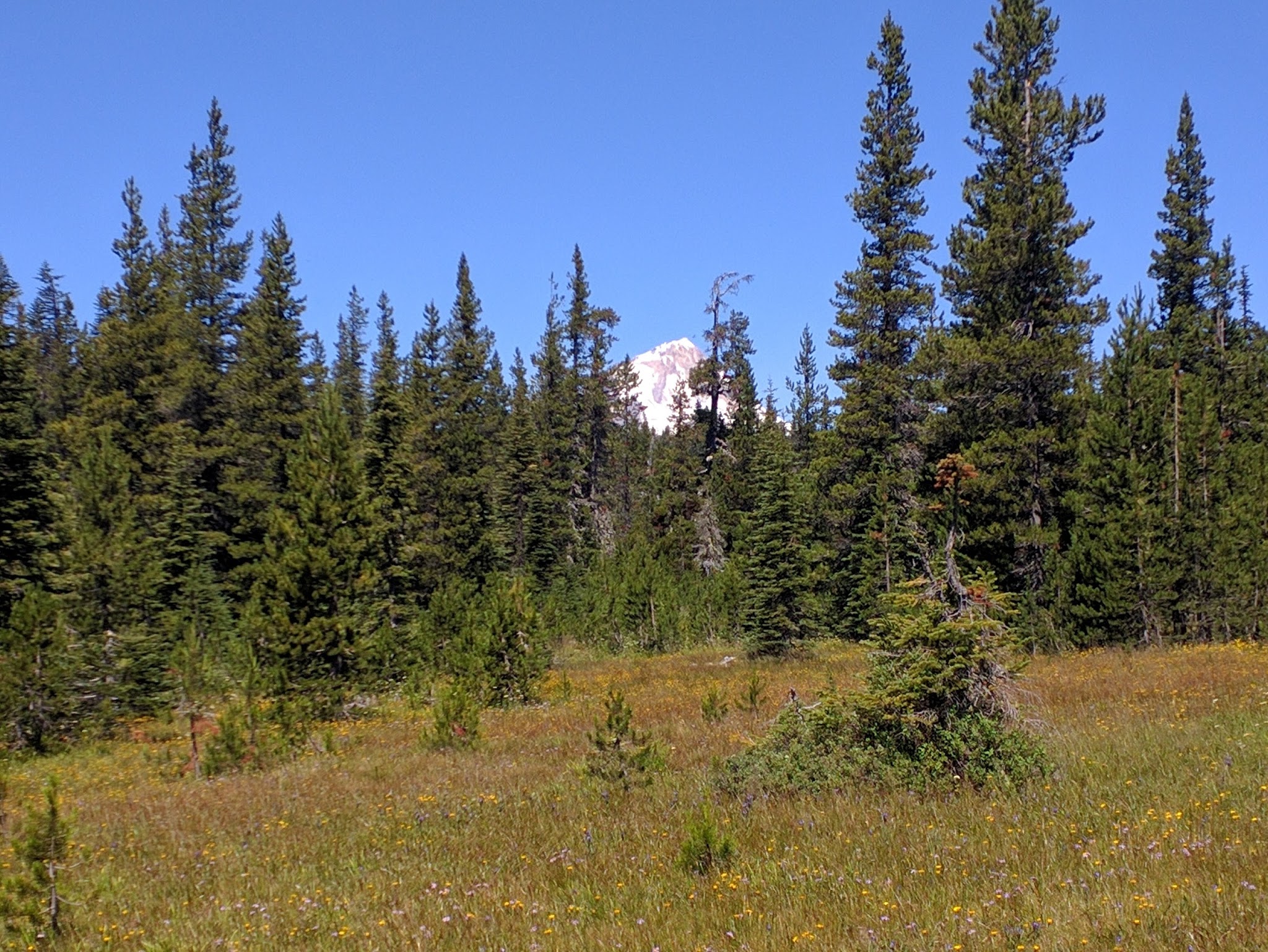 Bonney Meadows Campground