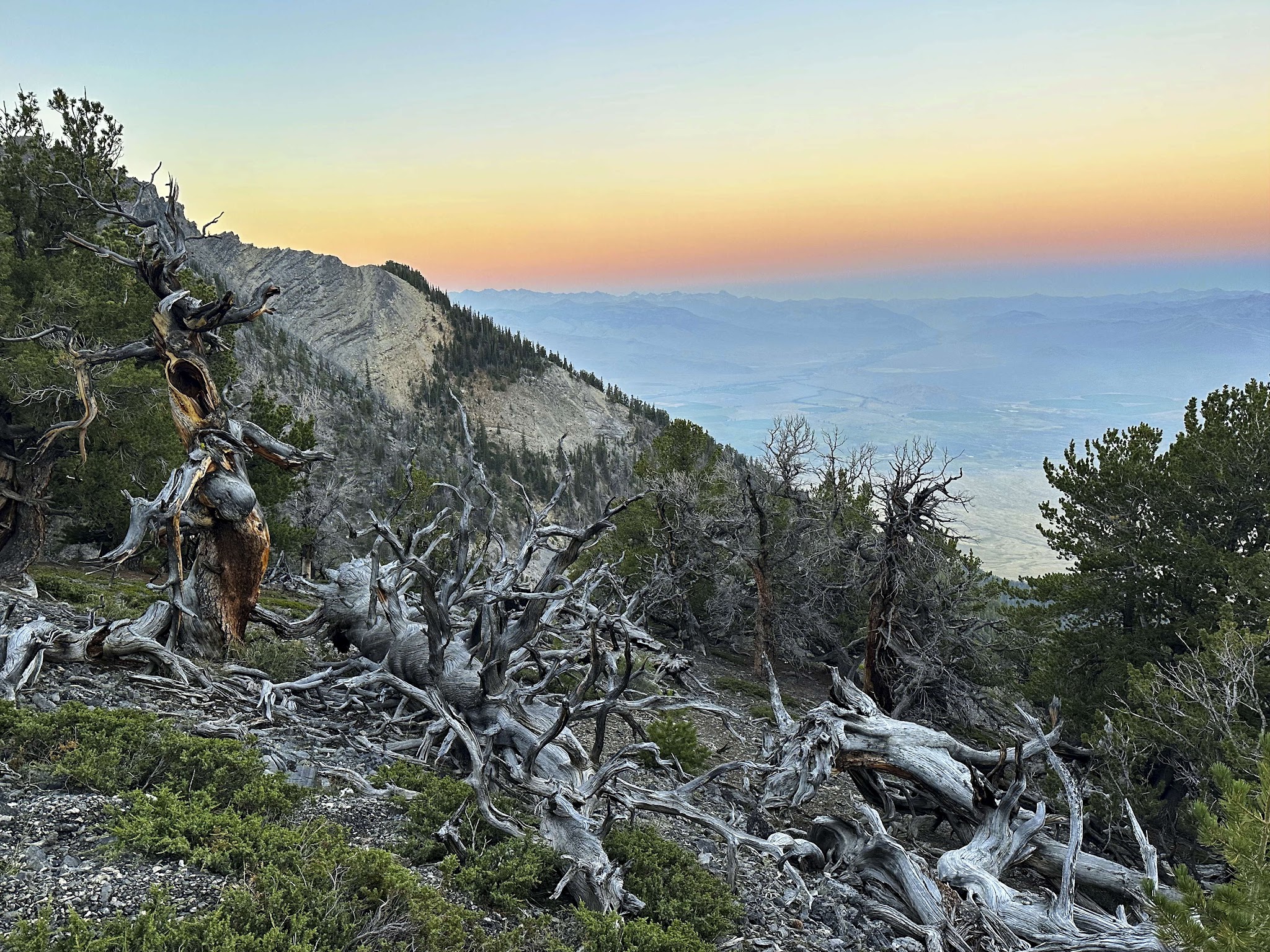 Mt. Borah Trailhead And Camping Area