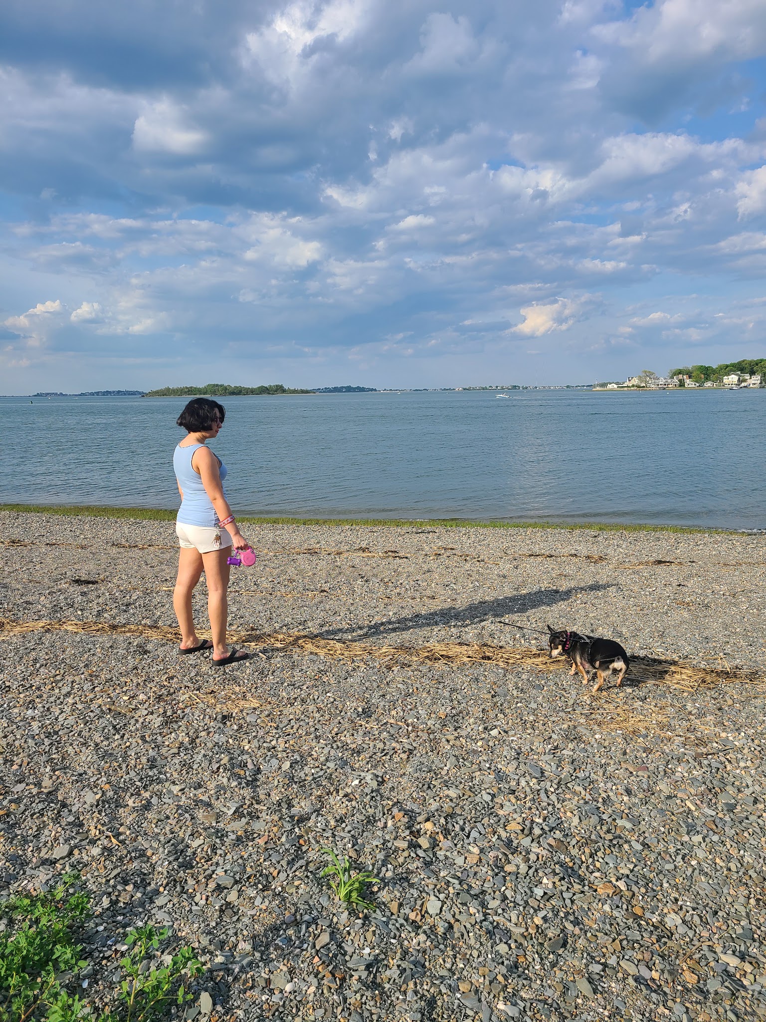 Boston Harbor Islands Sp