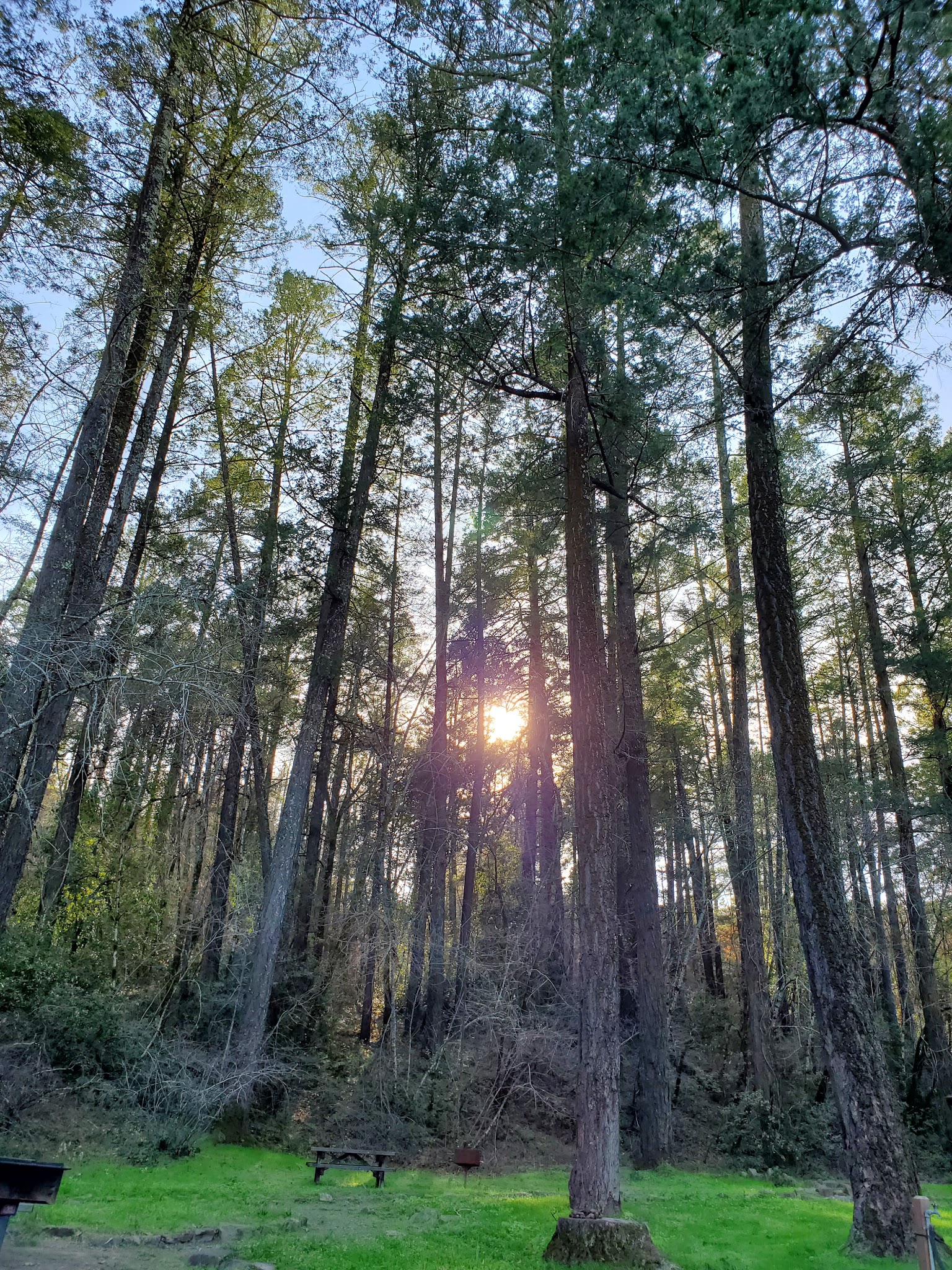 Valley Group Campground