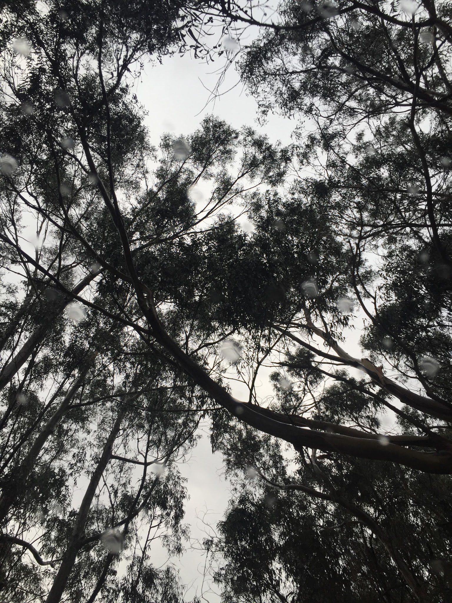 Bottchers Gap Campround