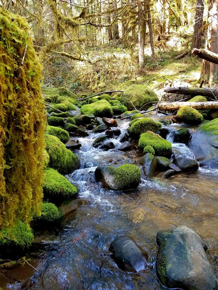 Boulder Creek Campground