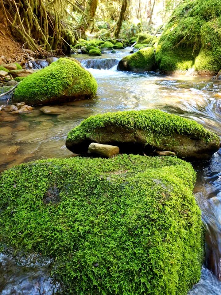 Boulder Creek Campground