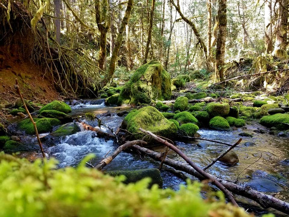 Boulder Creek Campground