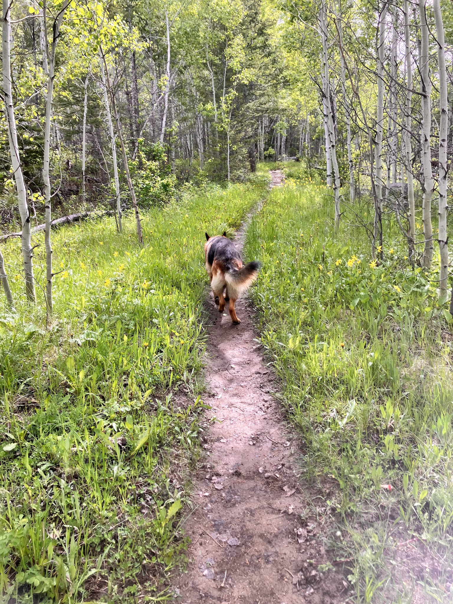 Boulder Lake Campground