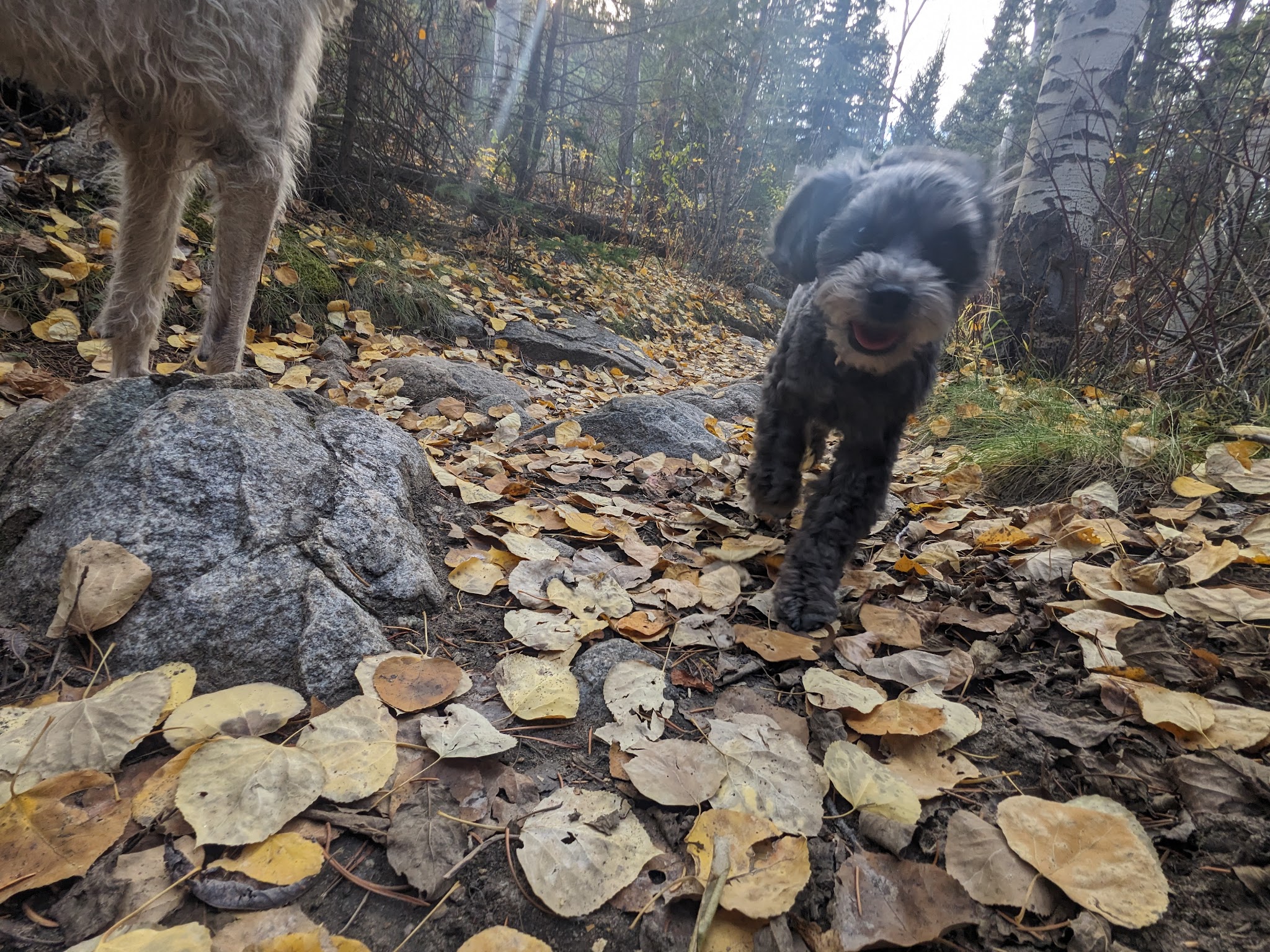 Boulder Lake Campground