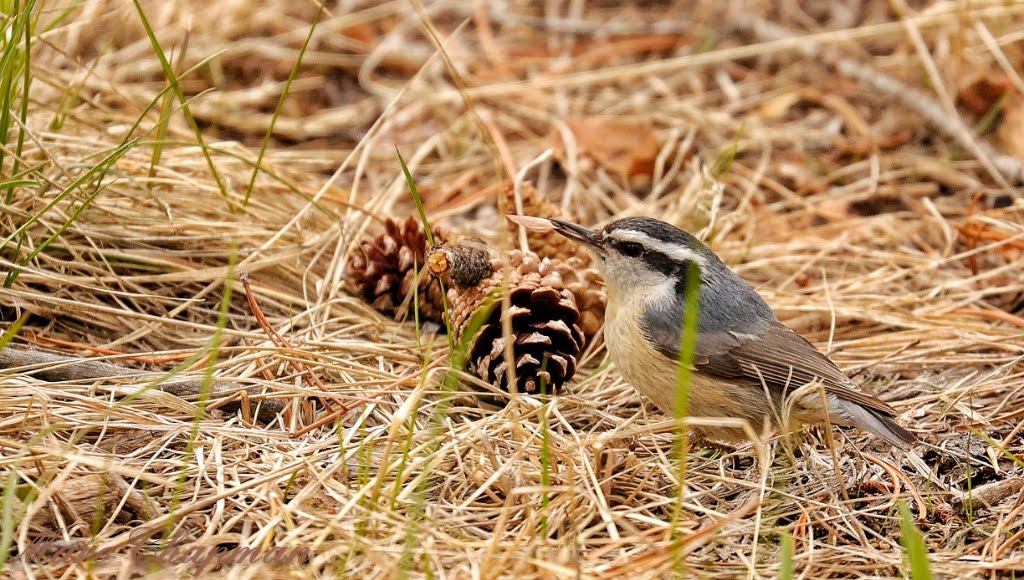 Boulder Lake Campground