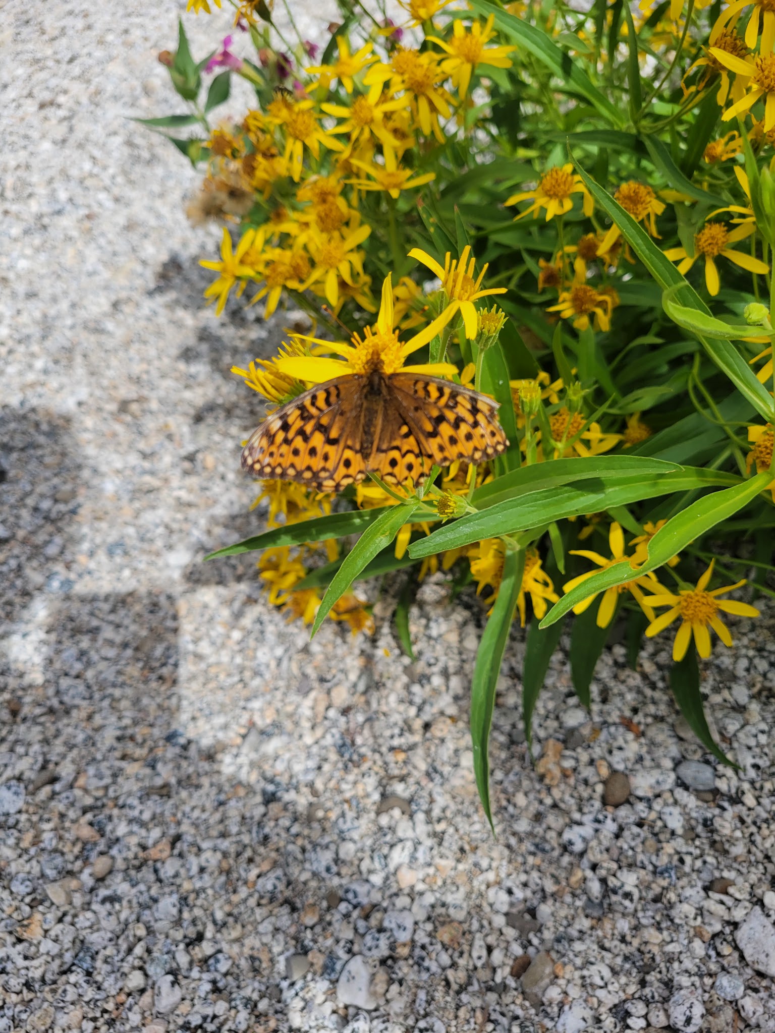 Boulder Park Campground
