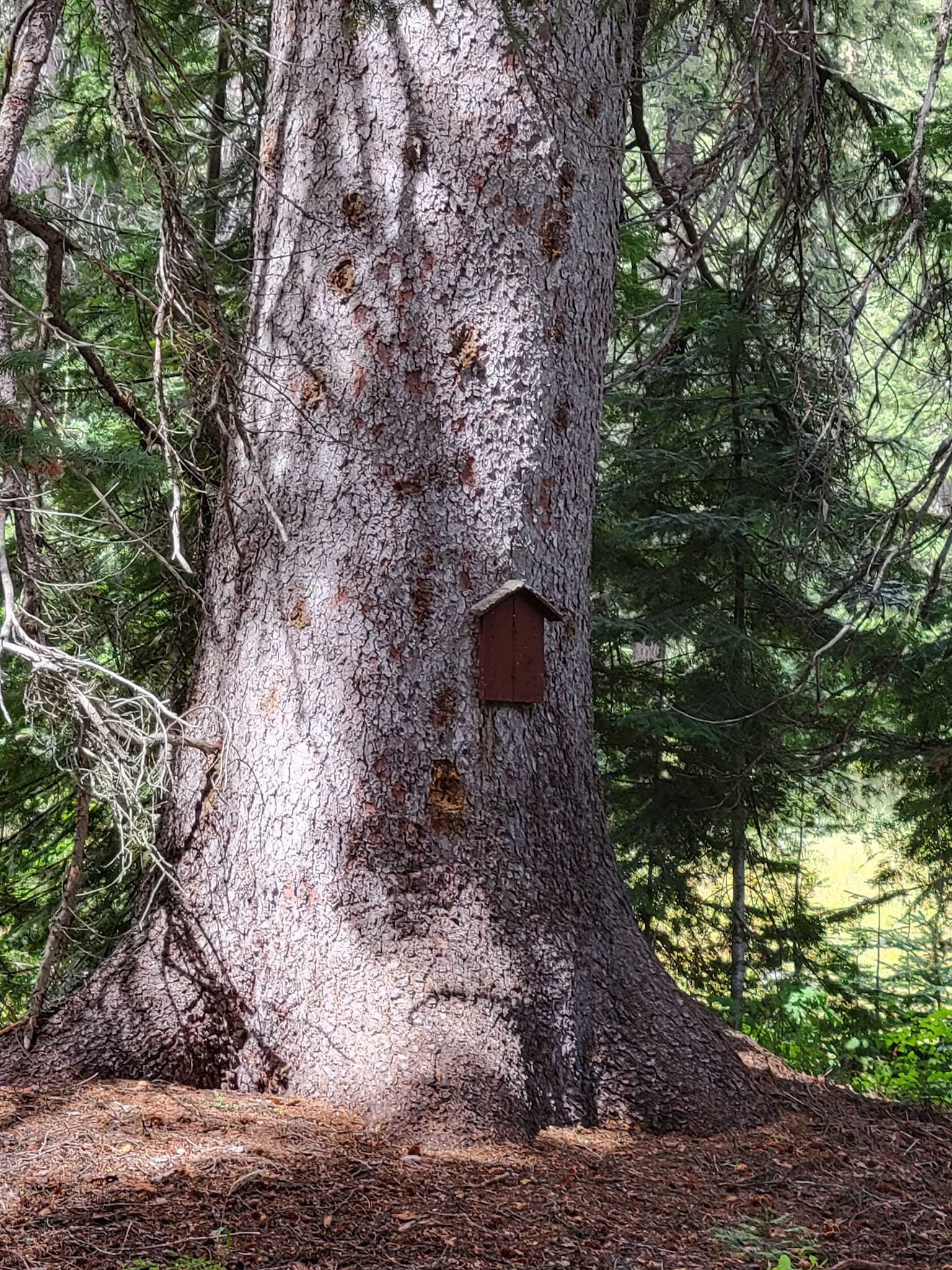 Boulder Park Campground