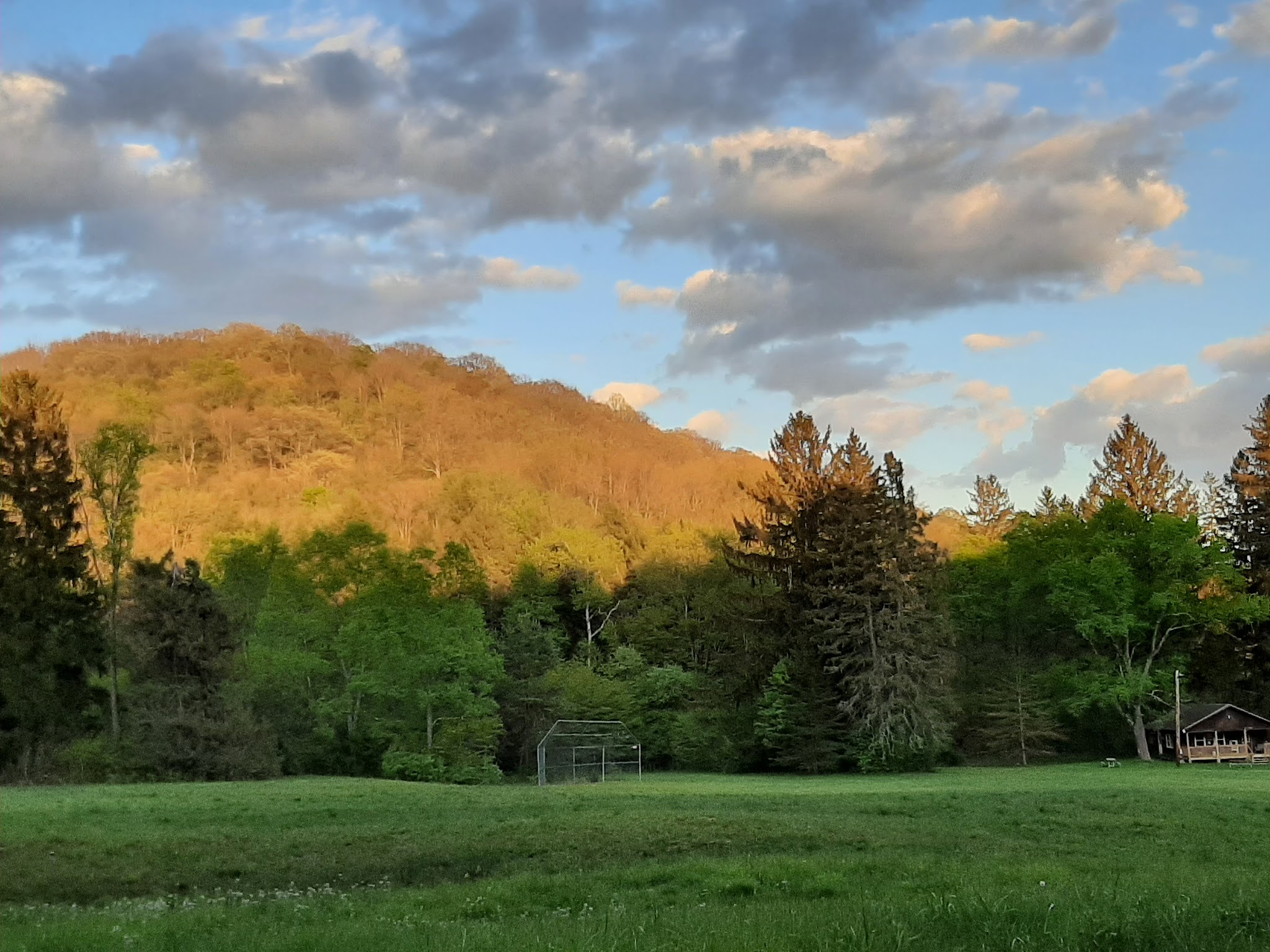 Allegany State Park (Parallel-Bova-Cain Hollow Cottages)