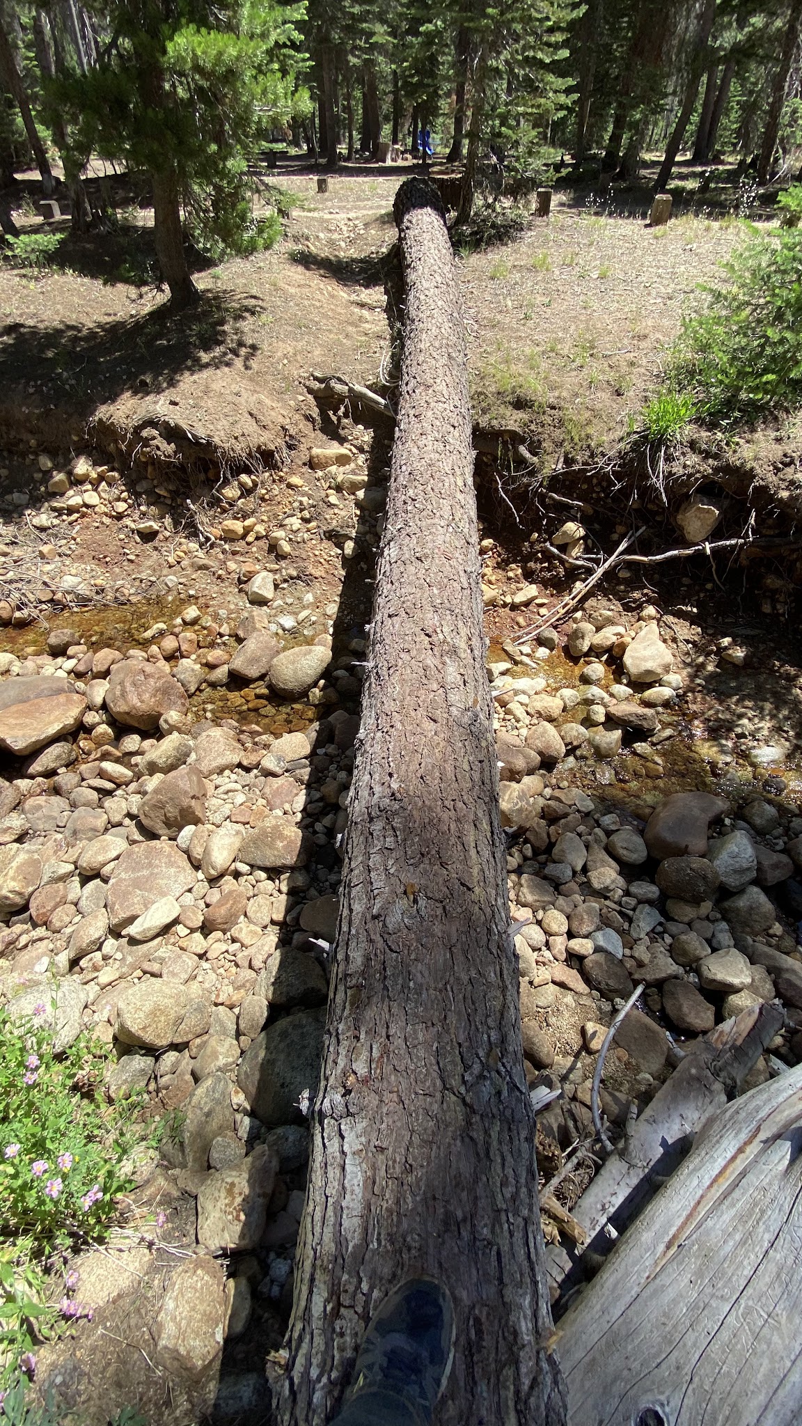 Bowler Group Campground