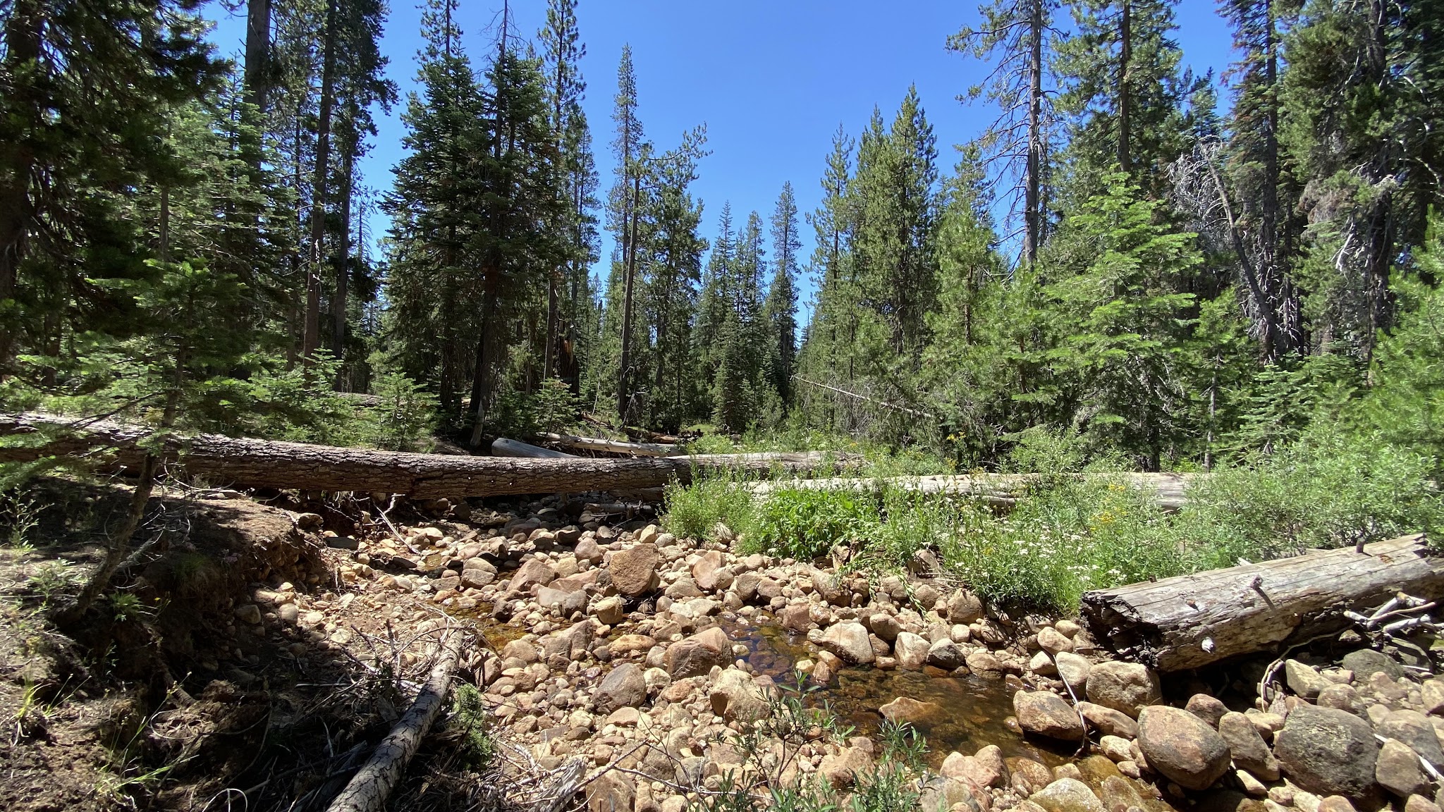 Bowler Group Campground