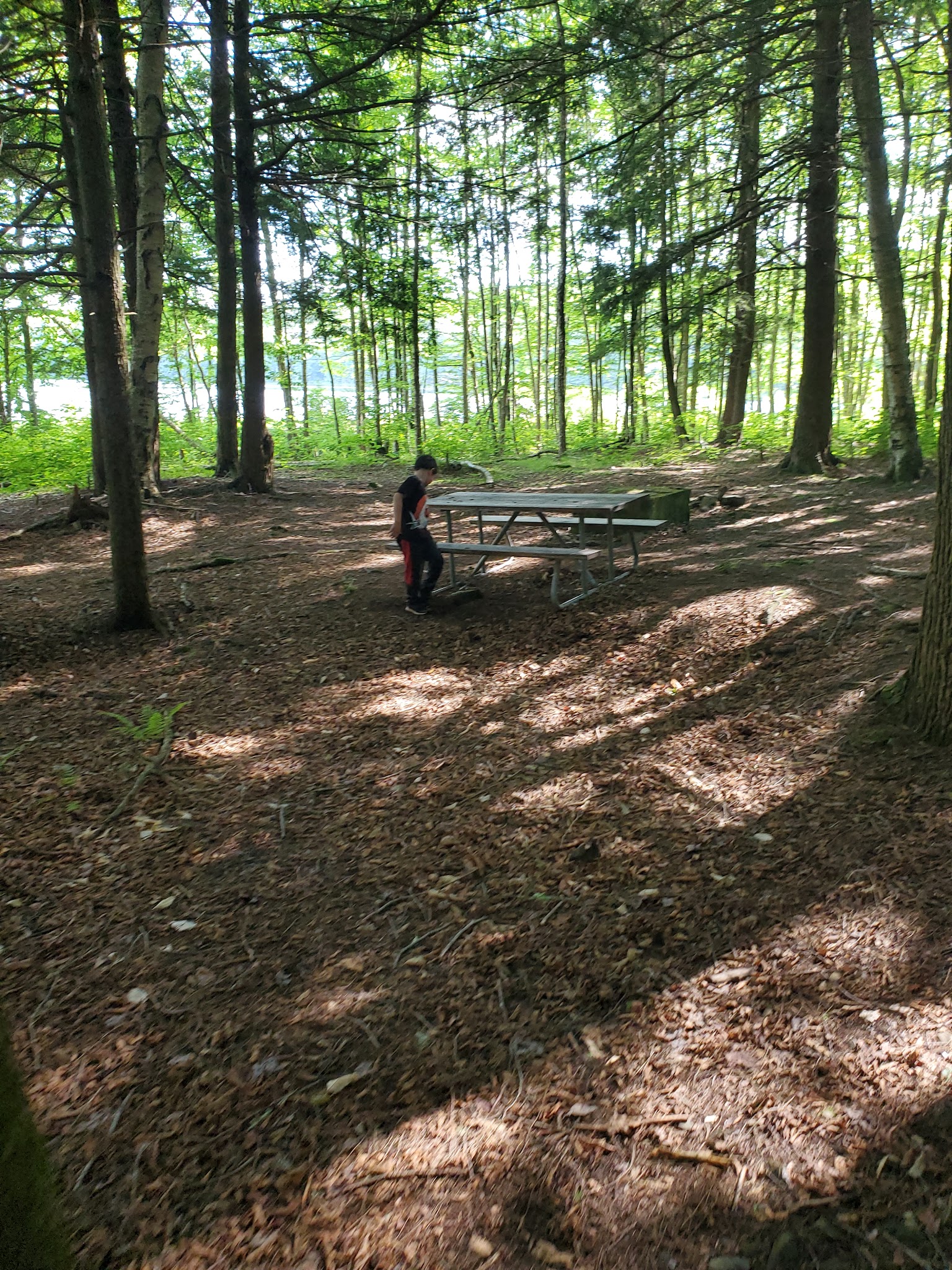 Bowman Lake State Park