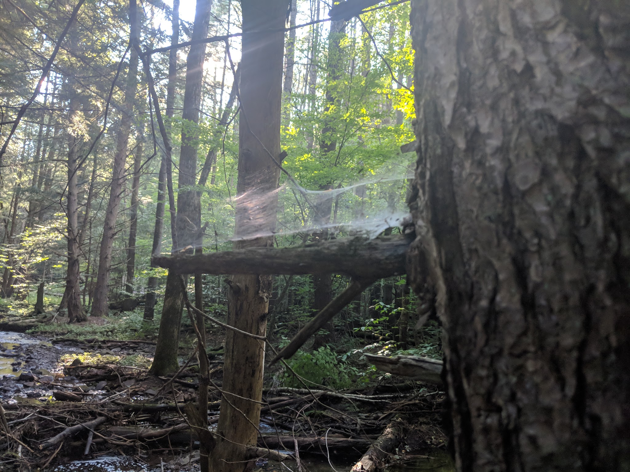 Bowman Lake State Park