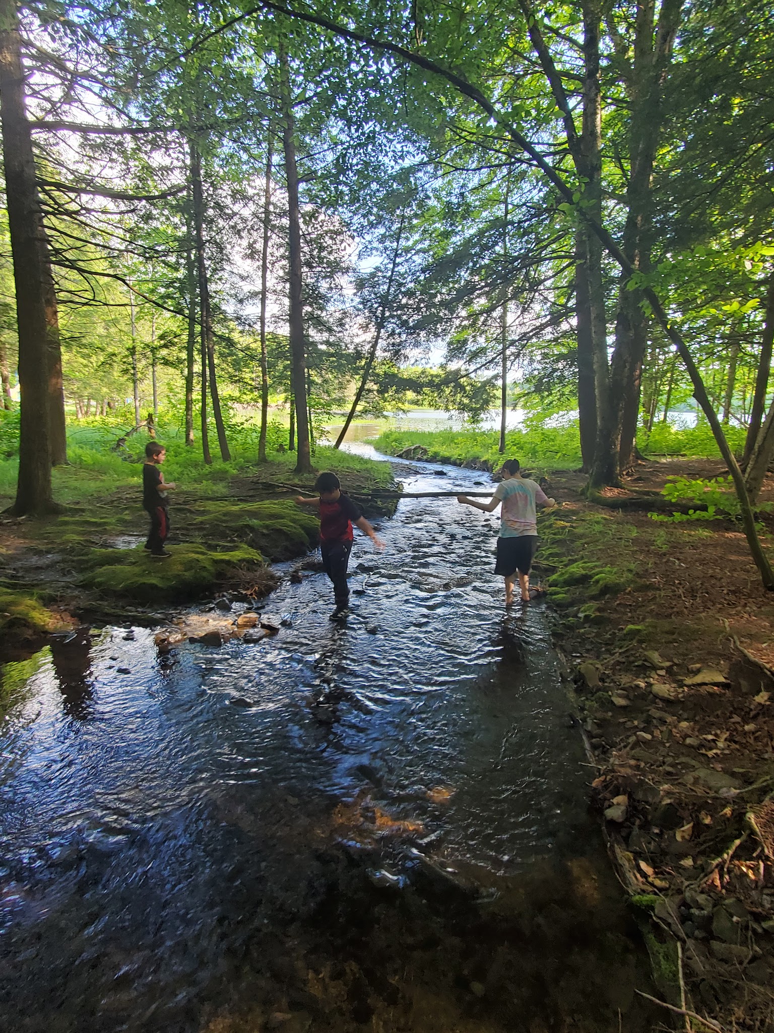 Bowman Lake State Park