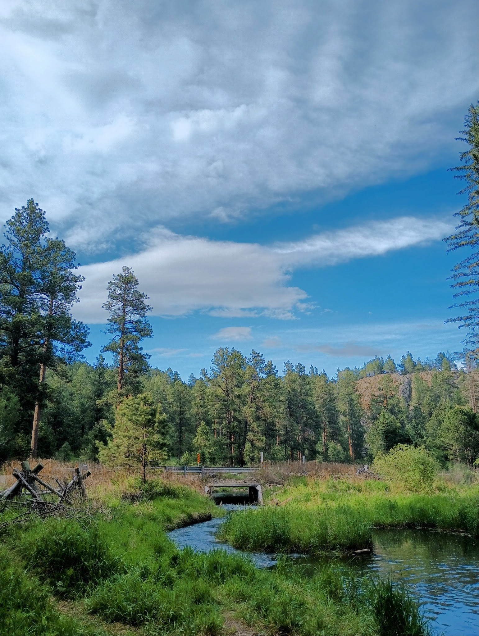 Boxelder Forks Campground