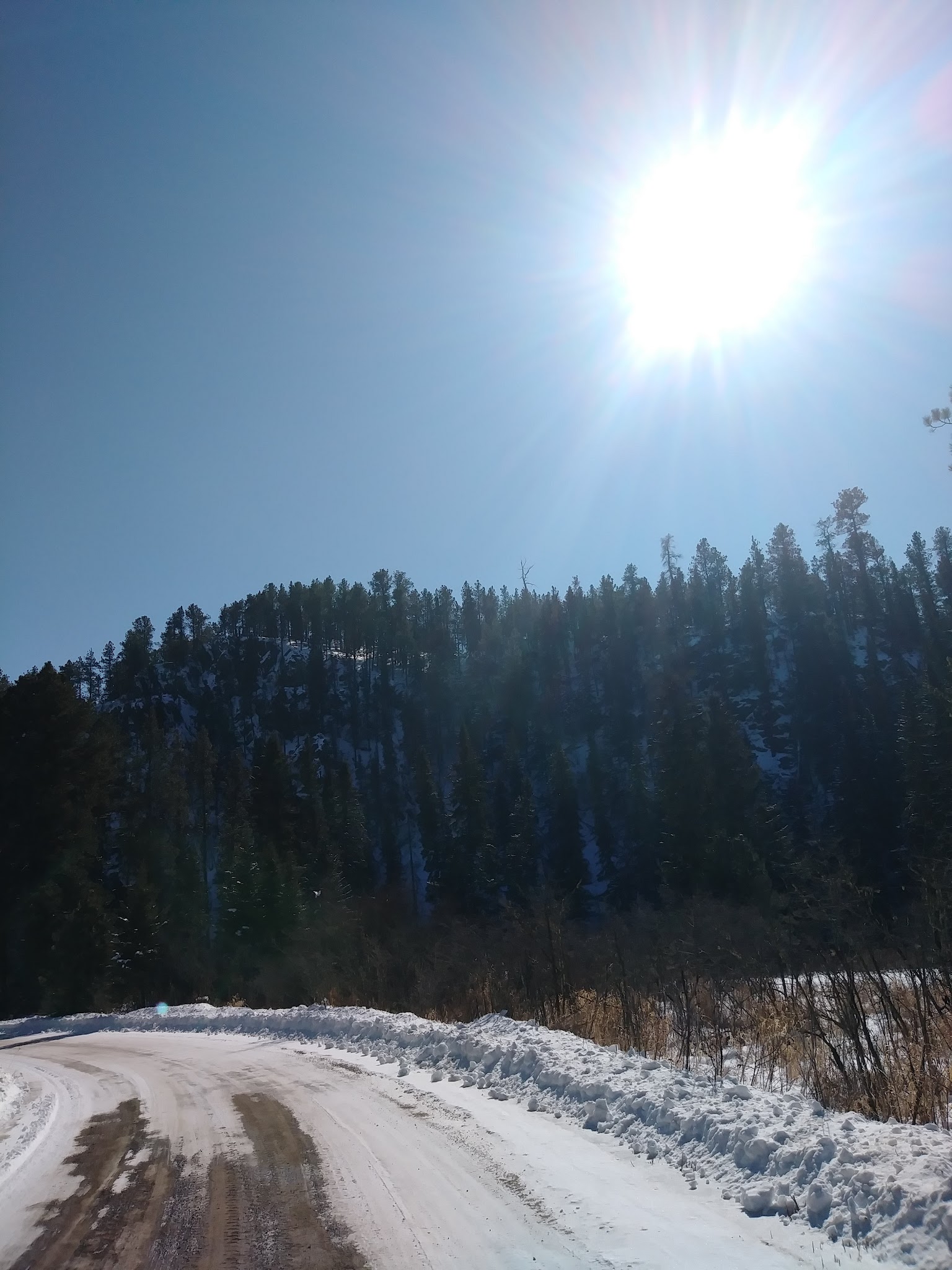 Boxelder Forks Campground