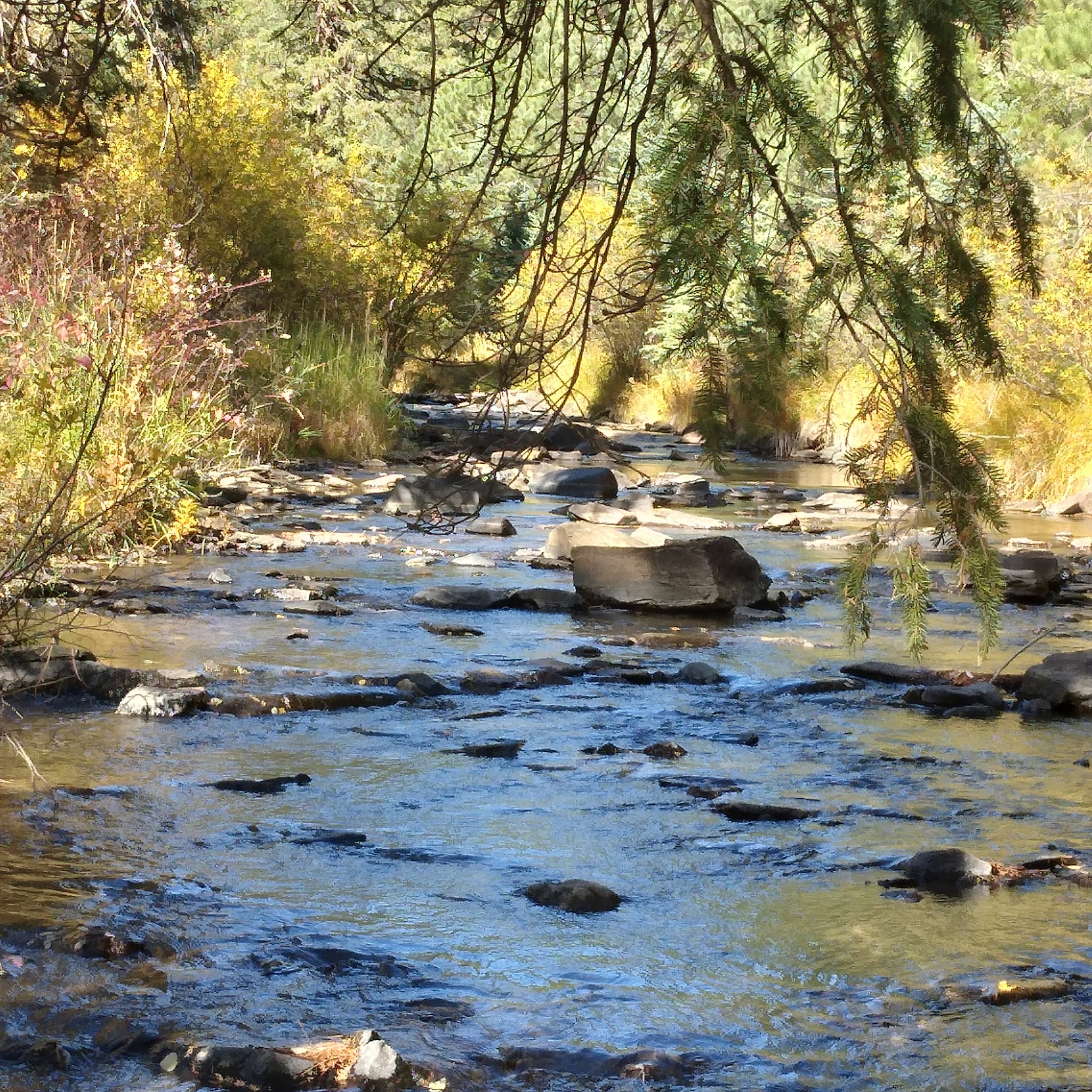 Boxelder Forks Campground