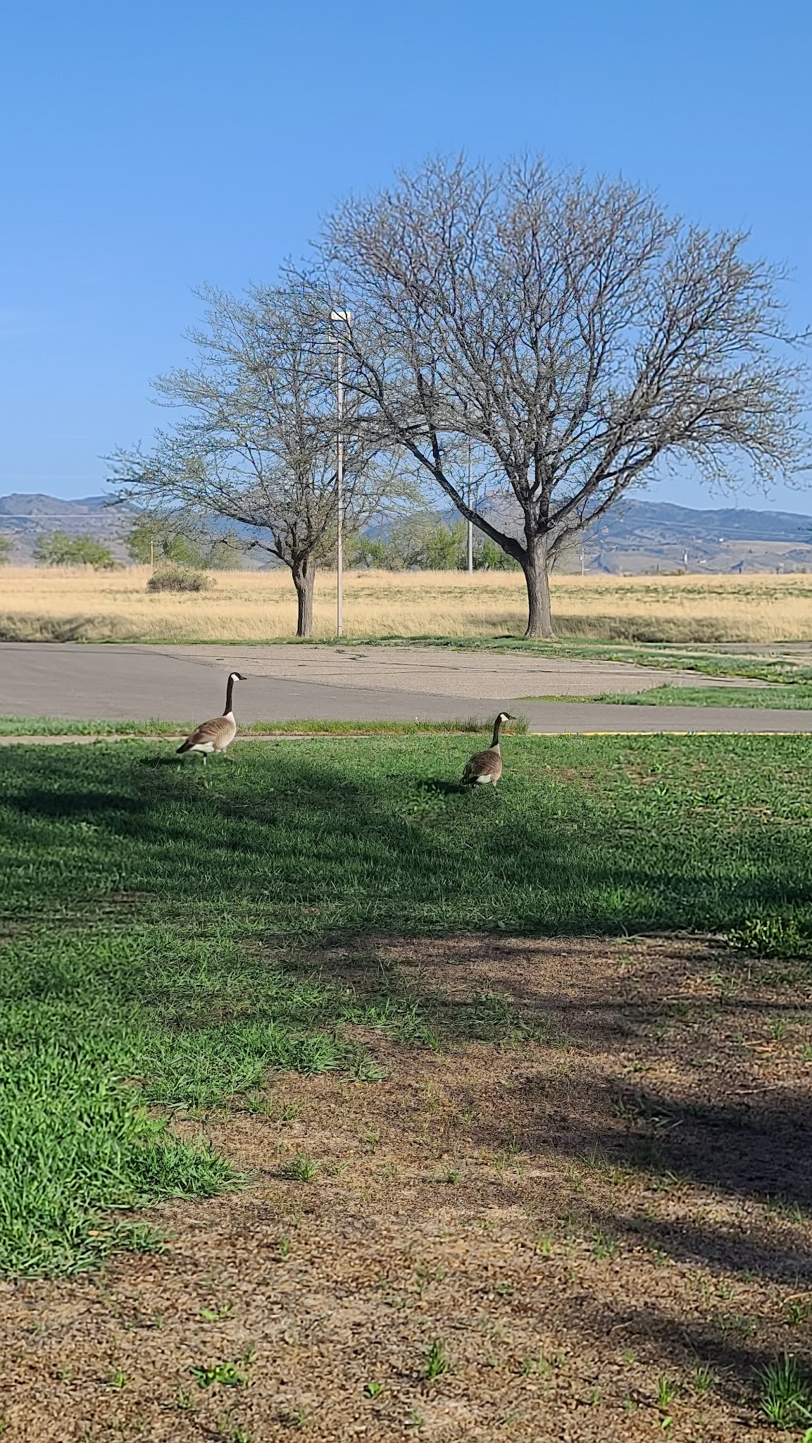 Boyd Lake State Park