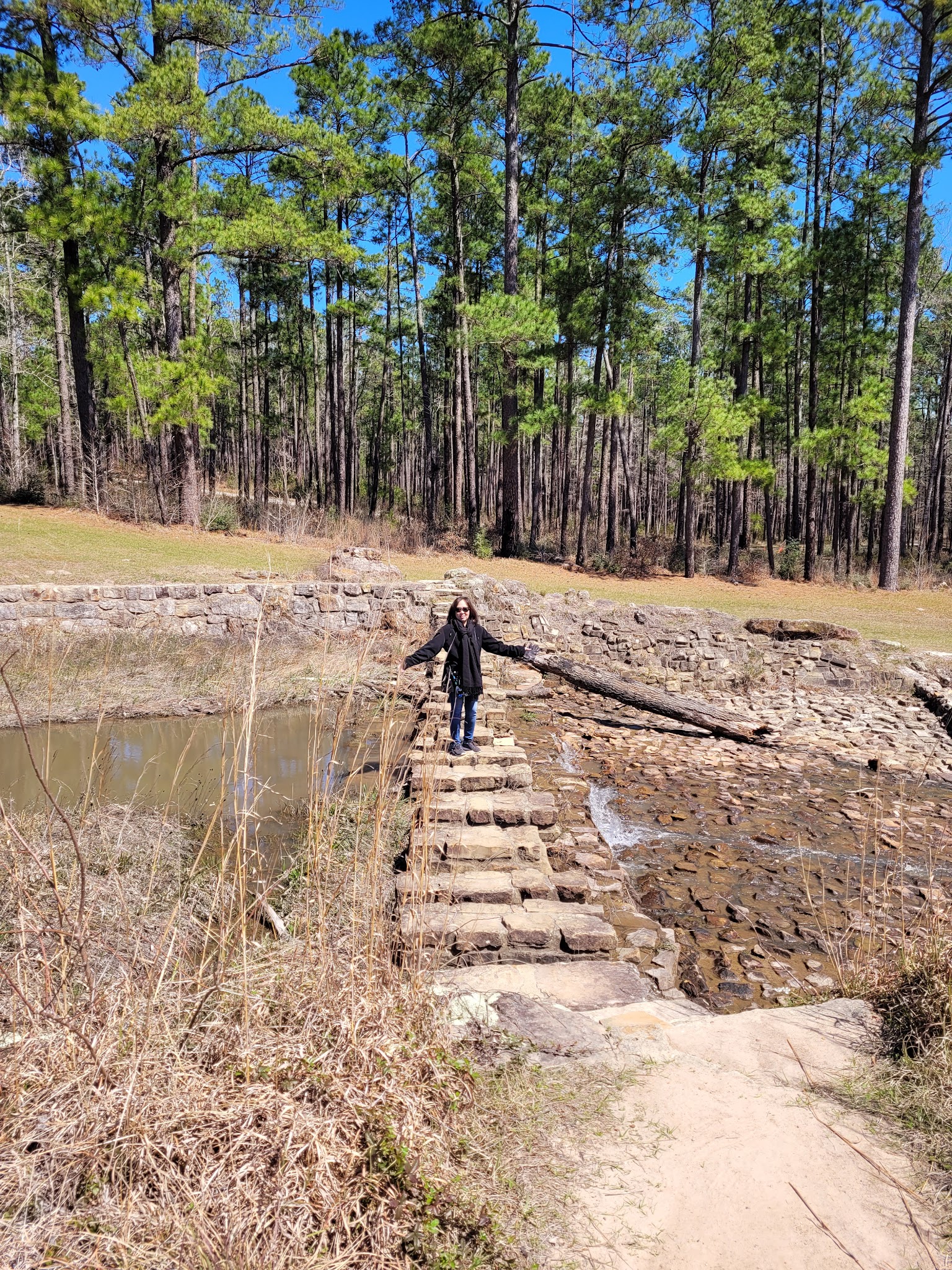 Boykin Springs Camping