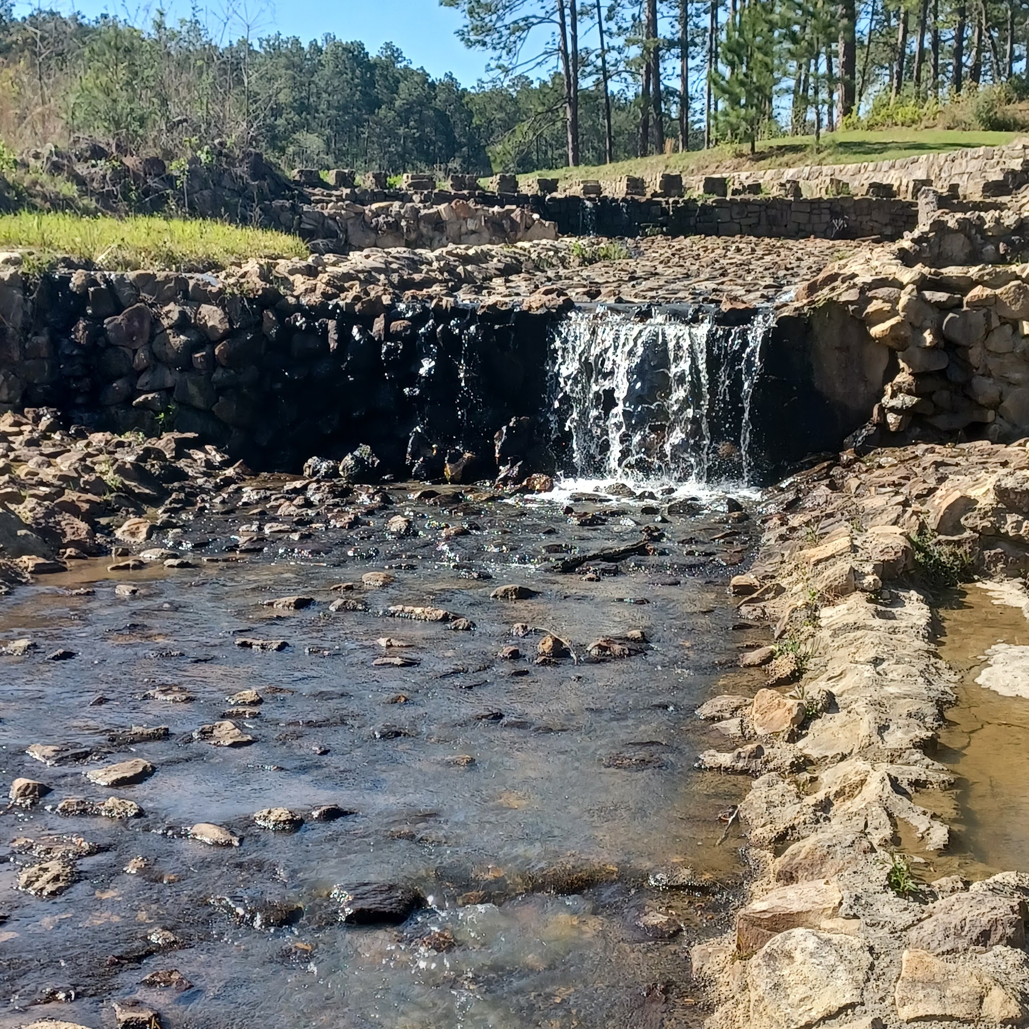 Boykin Springs Camping