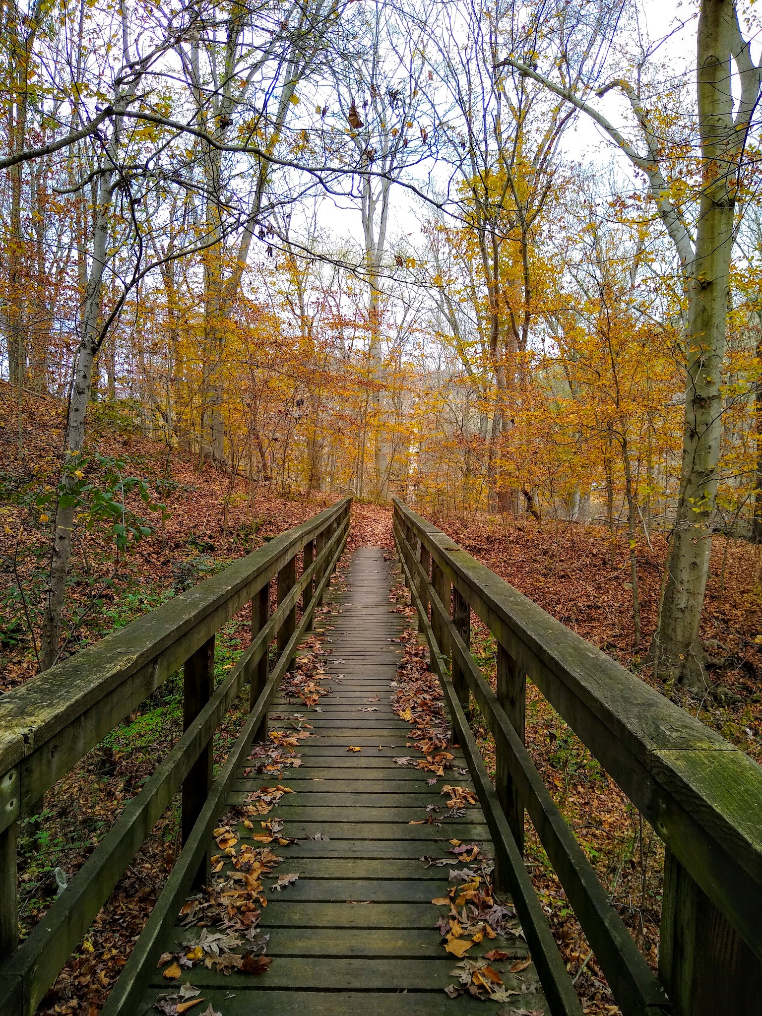 Brandywine Creek State Park