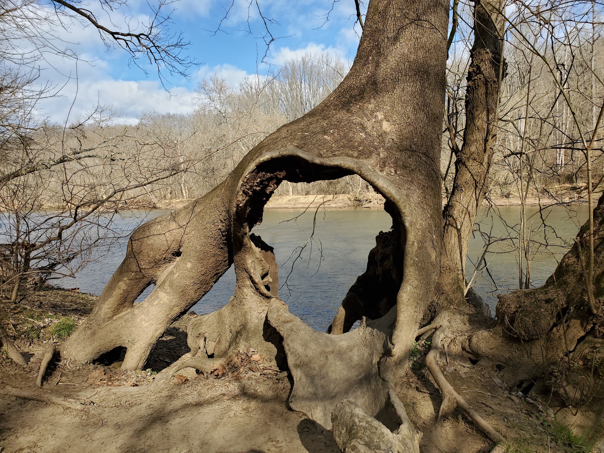 Brandywine Creek State Park