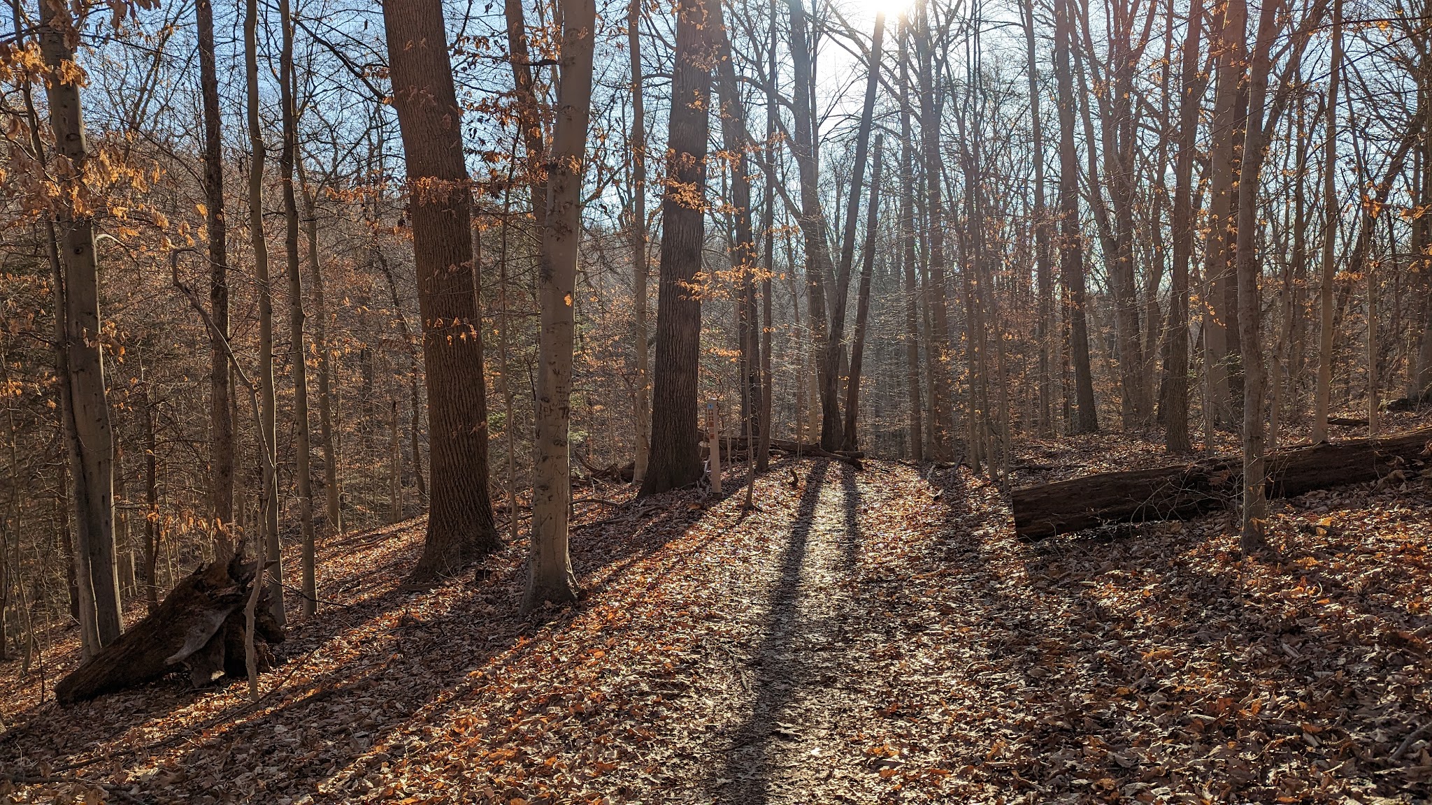 Brandywine Creek State Park