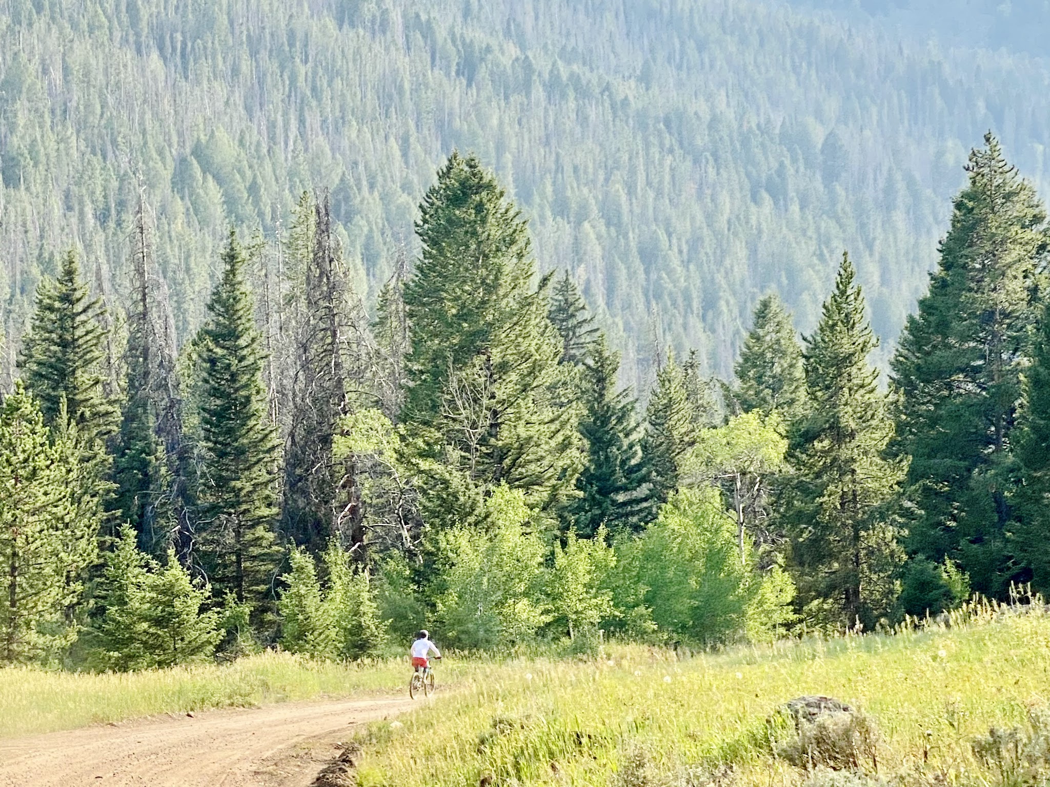 Branham Lakes Campground And Picnic Area