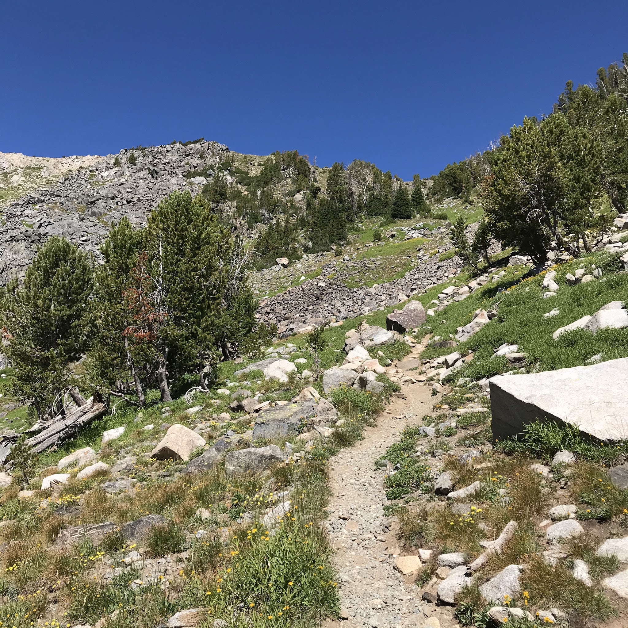 Branham Lakes Campground And Picnic Area
