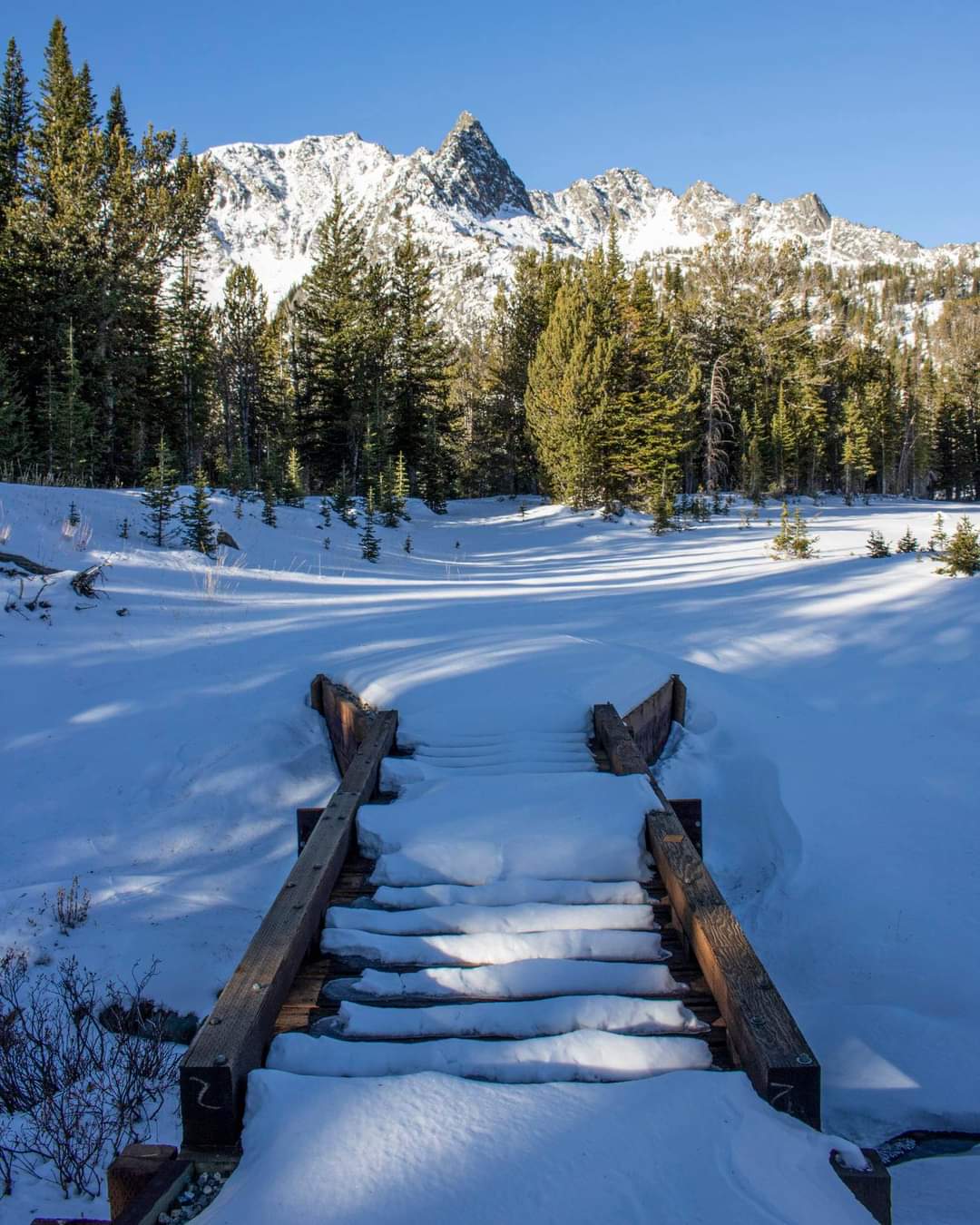 Branham Lakes Campground And Picnic Area