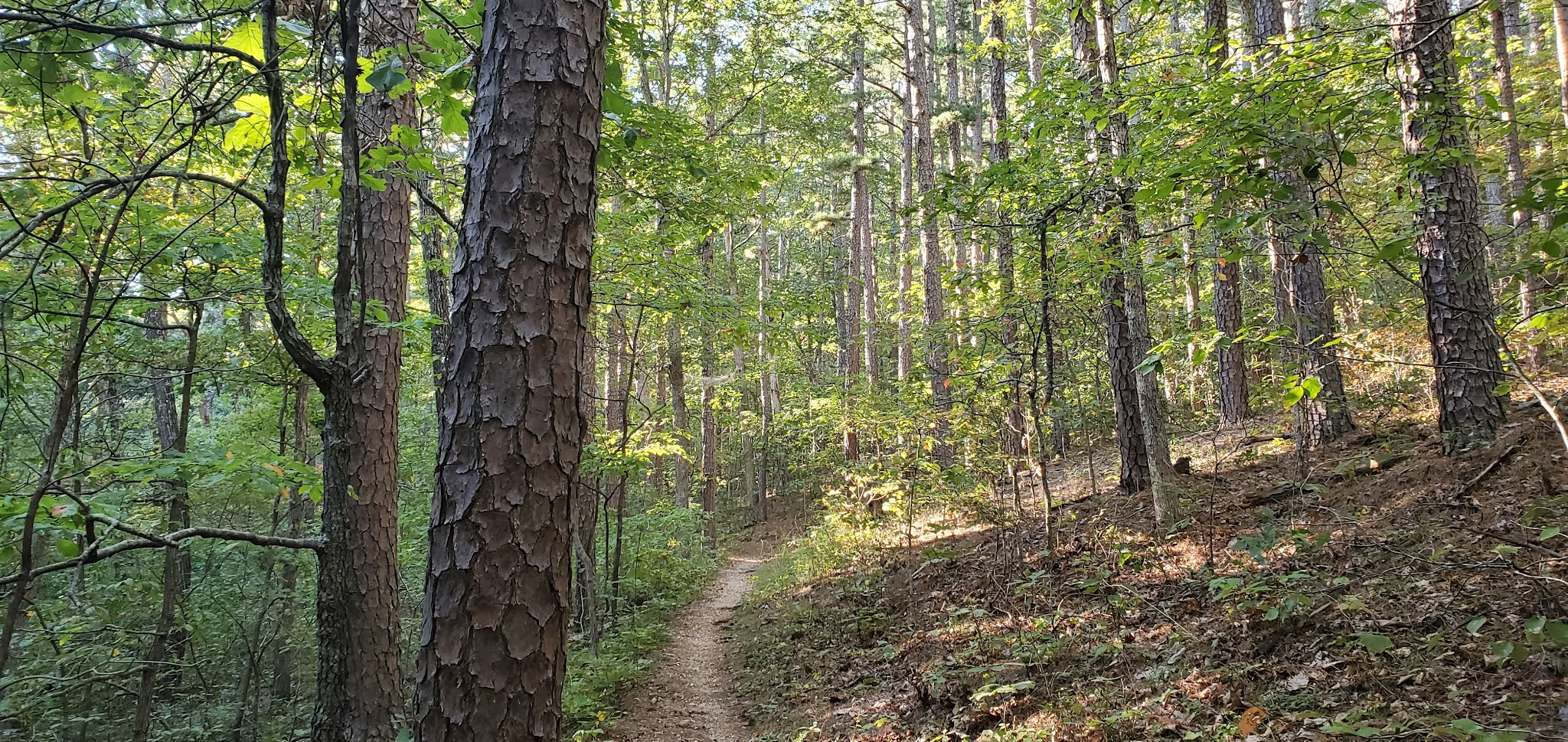 Brazil Creek Trailhead