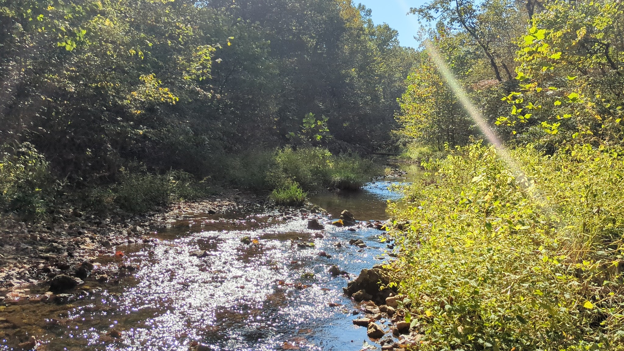 Brazil Creek Trailhead