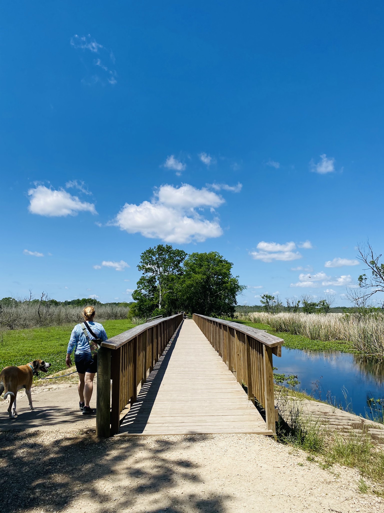 Brazos Bend State Park