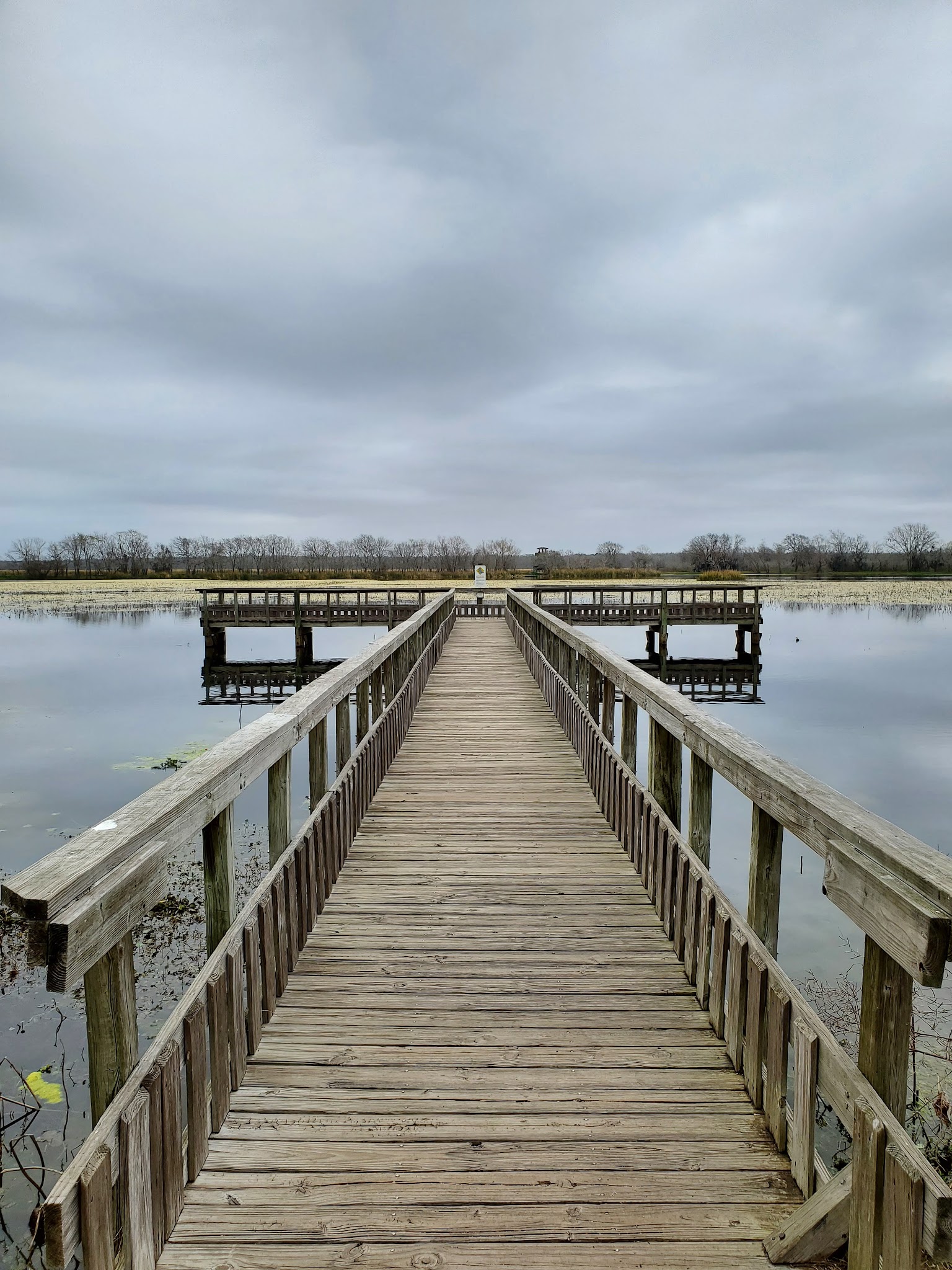 Brazos Bend State Park