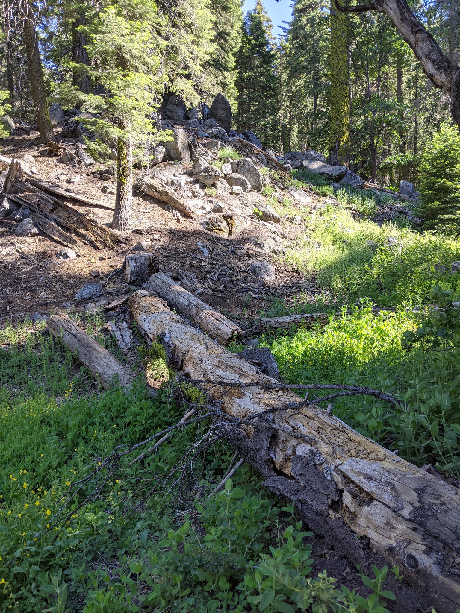 Breckenridge Campground